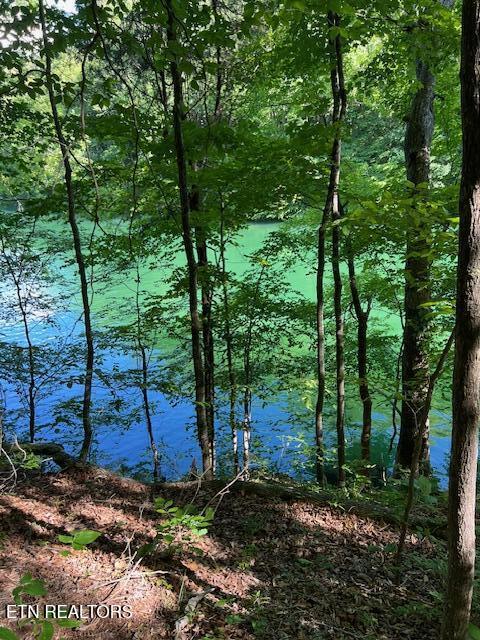 Cheri Ln Lot 62, Caryville, TN - Norris Lake Real Estate - Image# 1