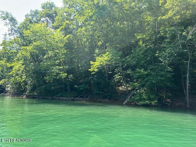 Cheri Ln Lot 62, Caryville, TN - Norris Lake Real Estate - Image# 2