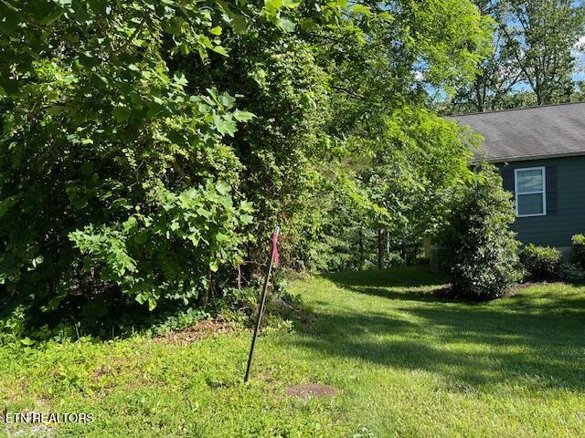 Cheri Ln Lot 62, Caryville, TN - Norris Lake Real Estate - Image# 9