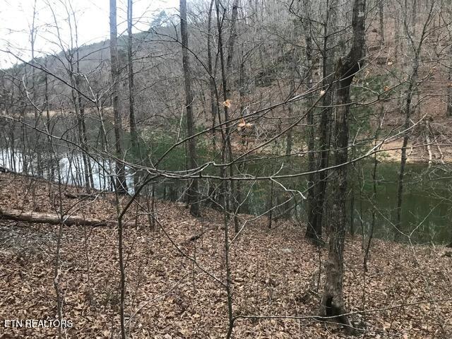 Cheri Ln Lot 62, Caryville, TN - Norris Lake Real Estate - Image# 10