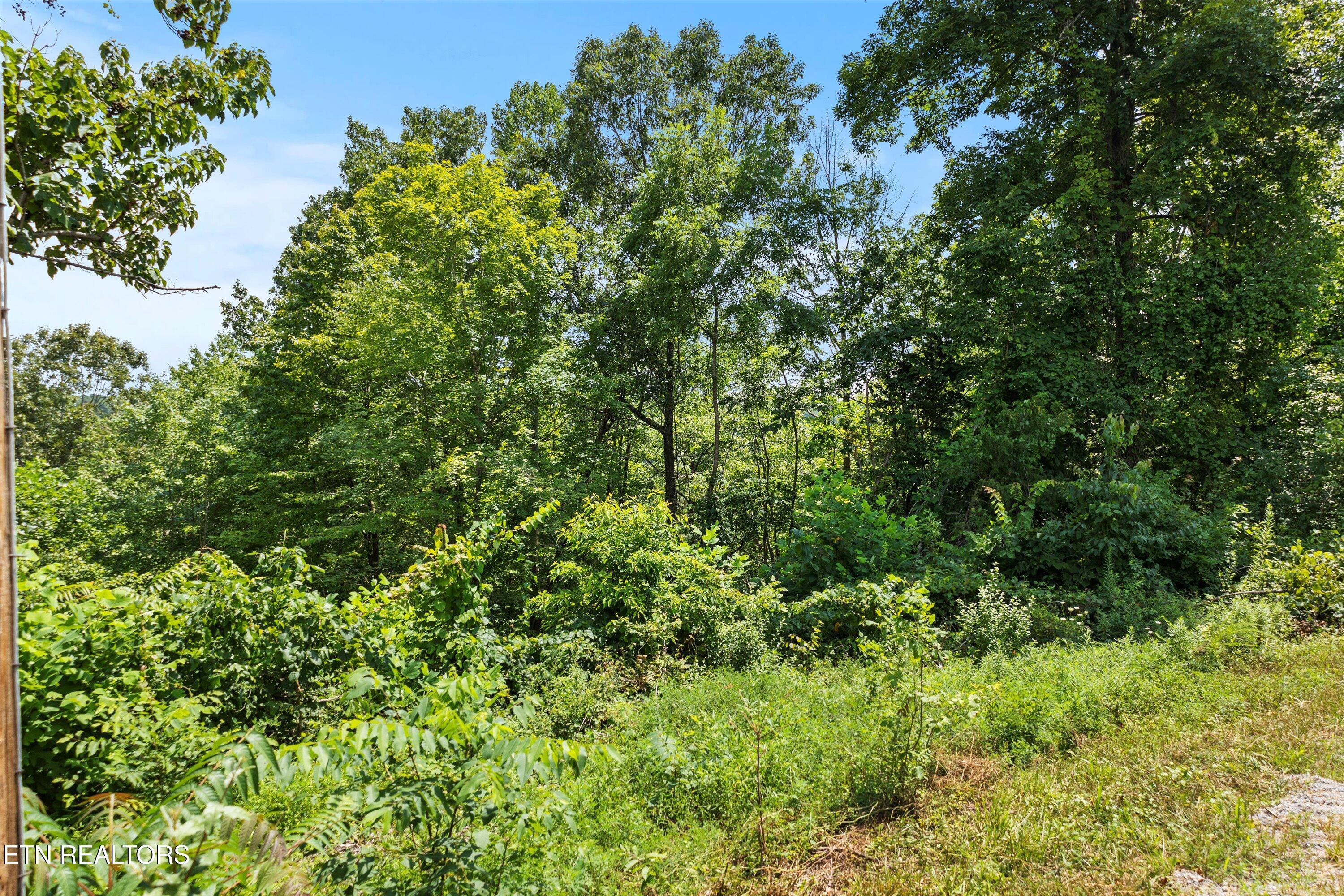 Lot 100 & 102 Dogwood Trl/ Jim, Lafollette, TN - Norris Lake Real Estate - Image# 11