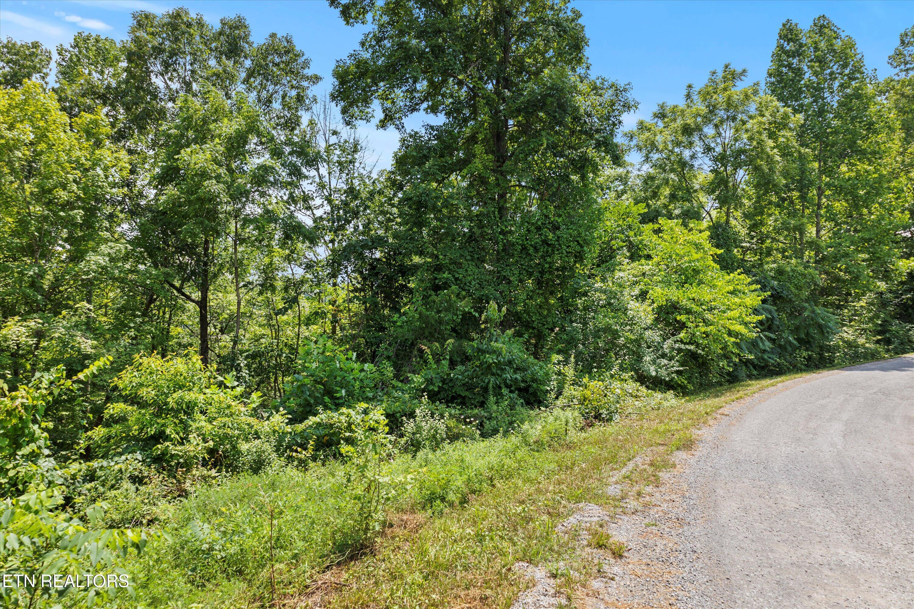 Lot 100 & 102 Dogwood Trl/ Jim, Lafollette, TN - Norris Lake Real Estate - Image# 12