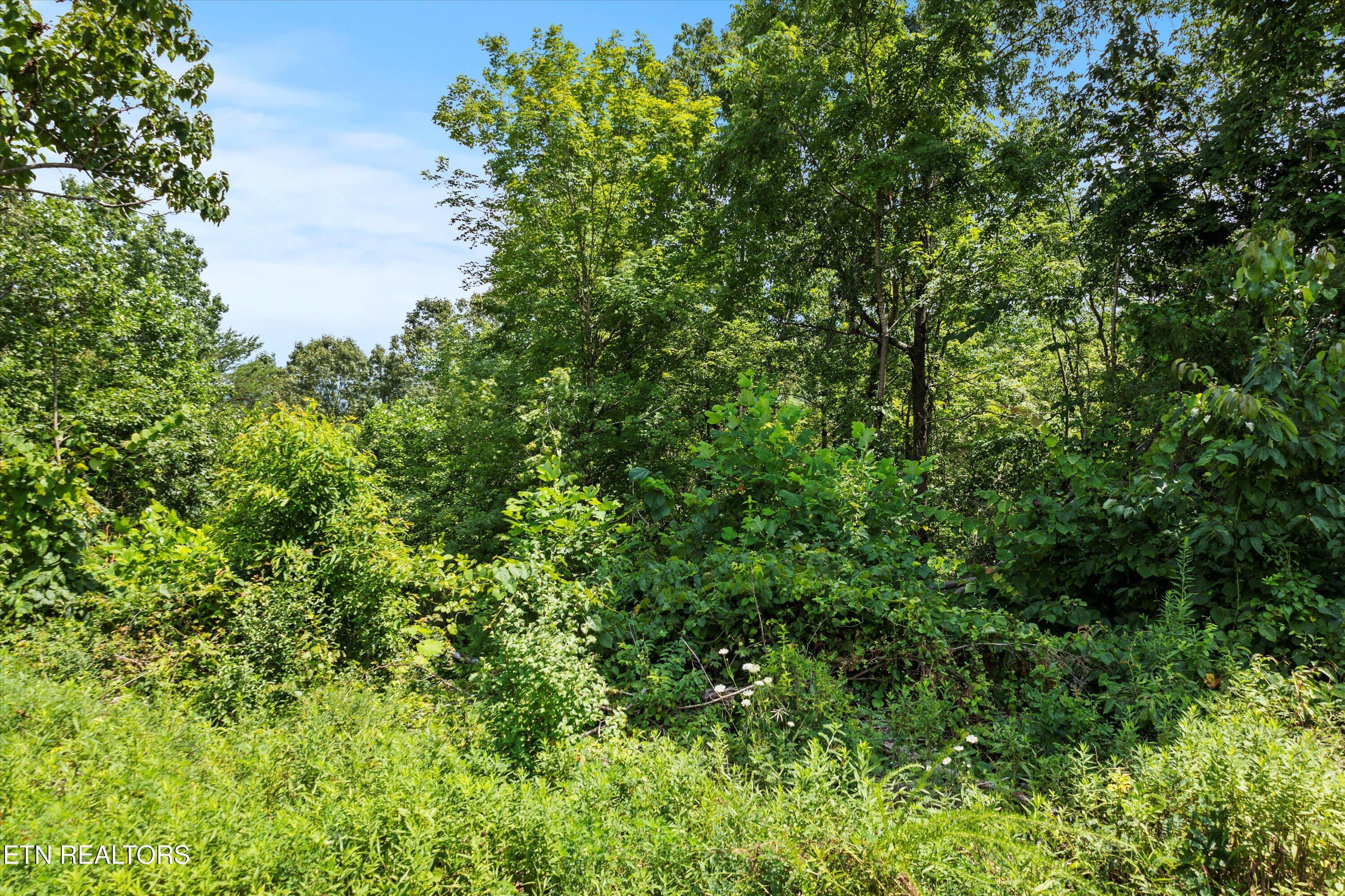 Lot 100 & 102 Dogwood Trl/ Jim, Lafollette, TN - Norris Lake Real Estate - Image# 13