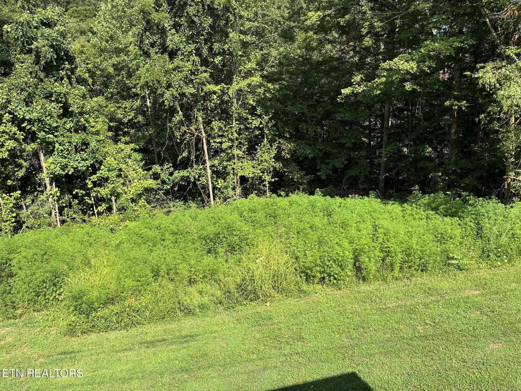 142 Mcnerling Lane, Sharps Chapel, TN - Norris Lake Real Estate - Image# 6