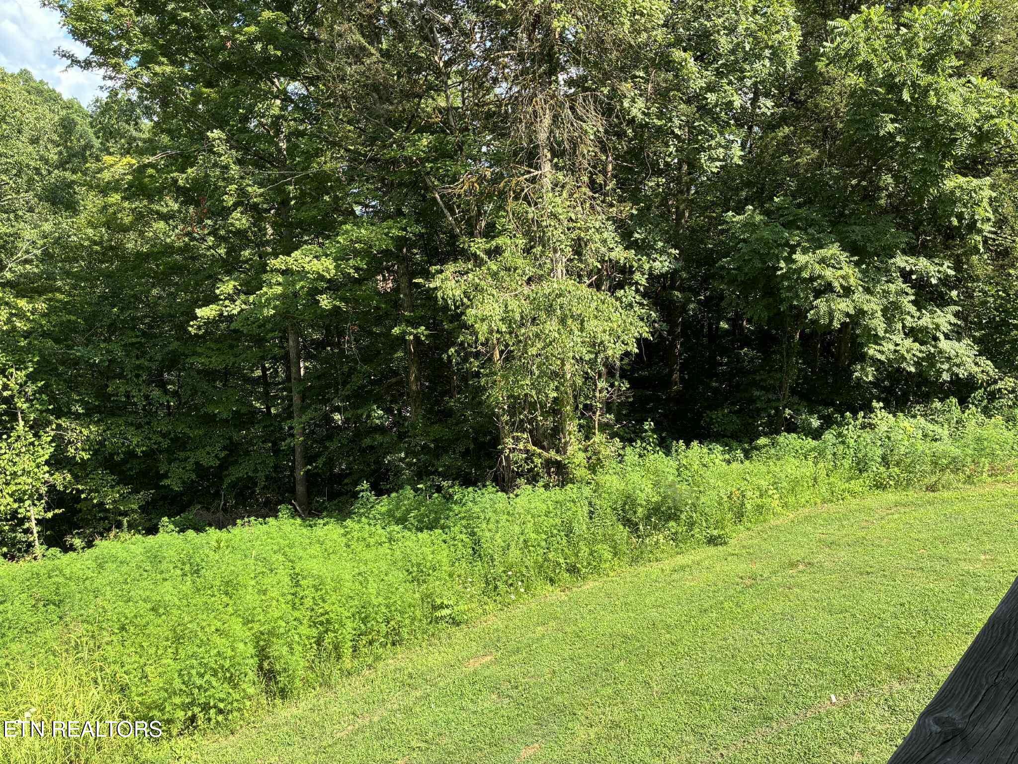 142 Mcnerling Lane, Sharps Chapel, TN - Norris Lake Real Estate - Image# 8