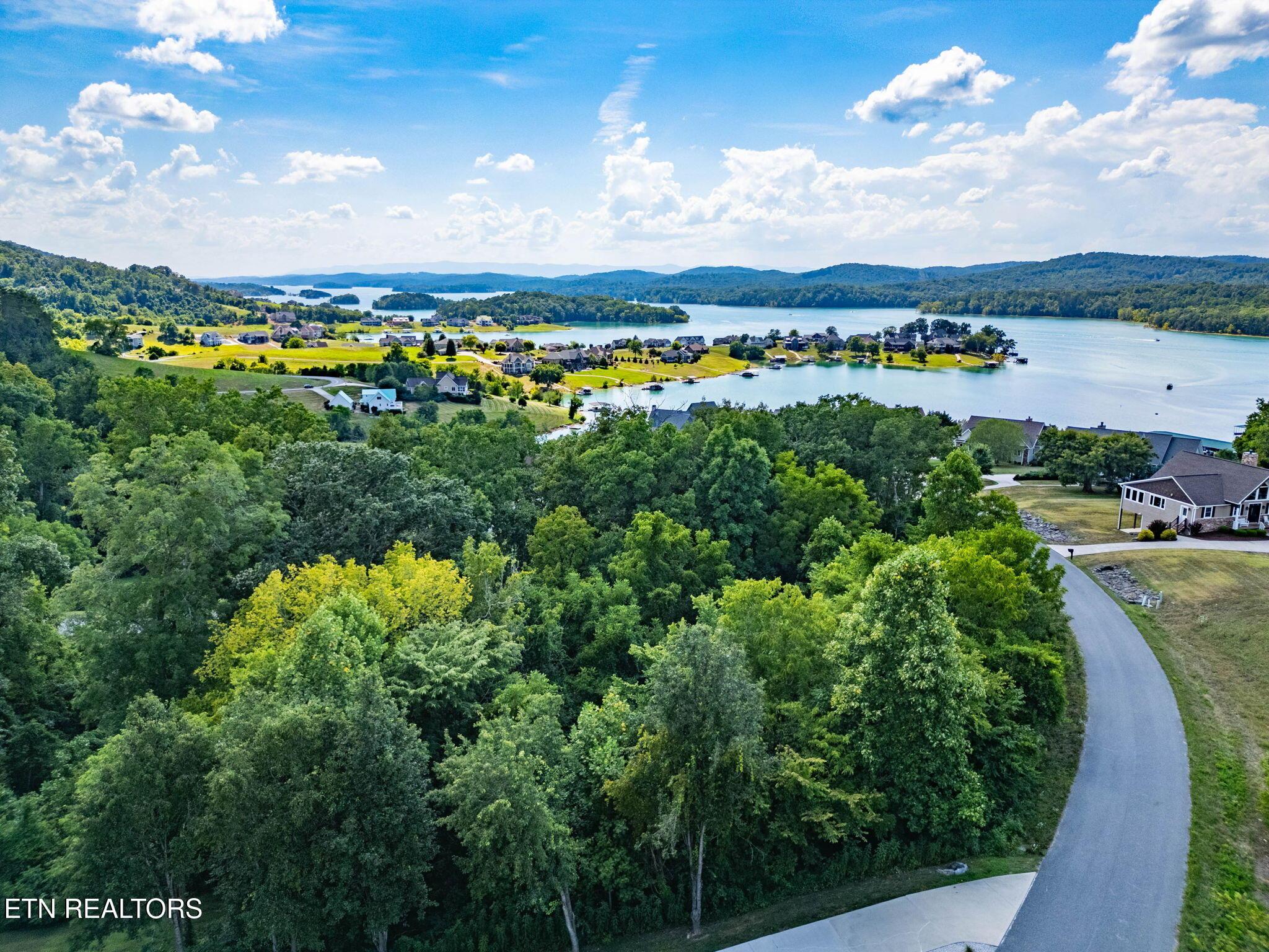 355 Larayne Hollow Rd, Sharps Chapel, TN - Norris Lake Real Estate - Image# 2