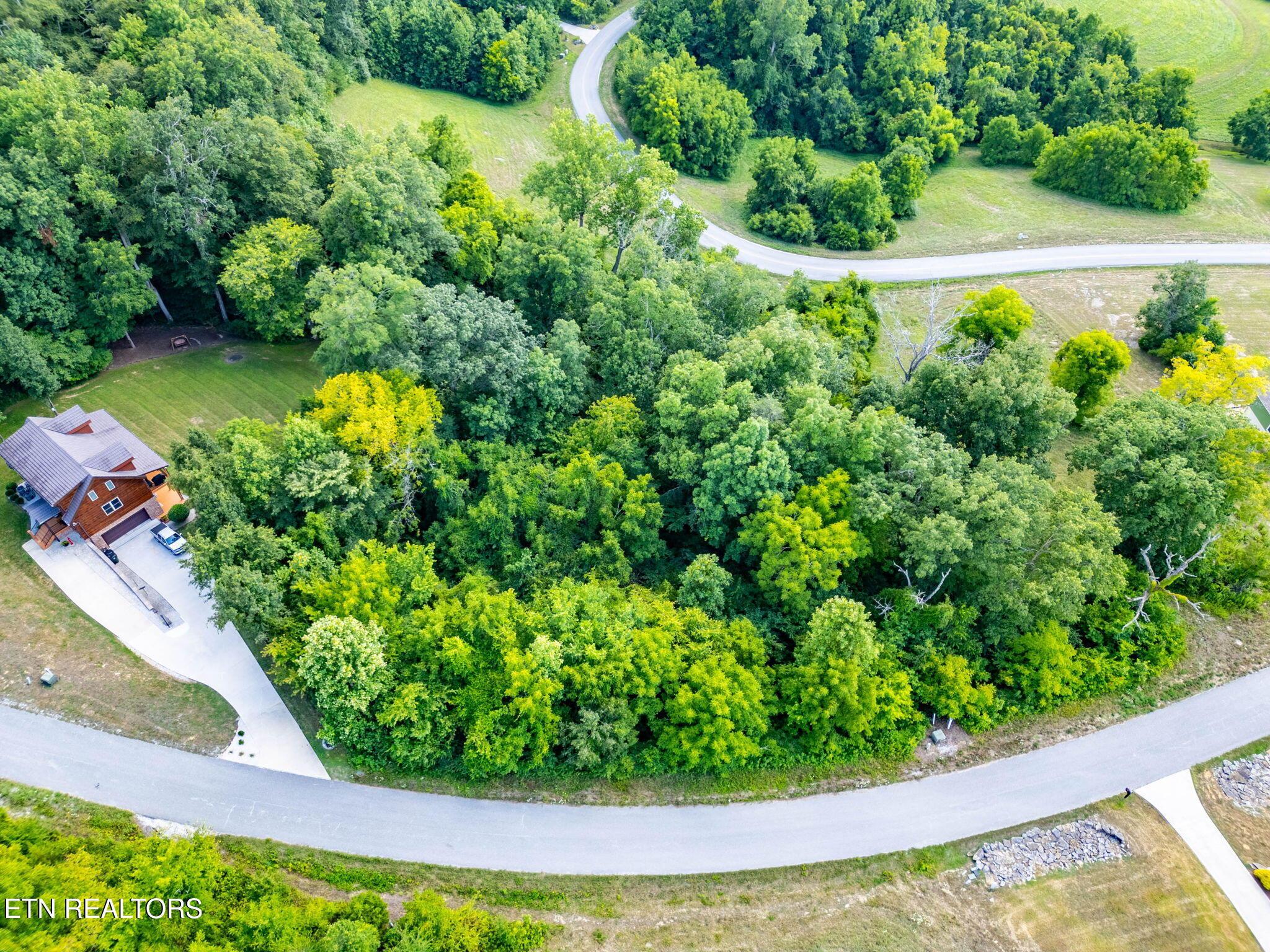 355 Larayne Hollow Rd, Sharps Chapel, TN - Norris Lake Real Estate - Image# 3