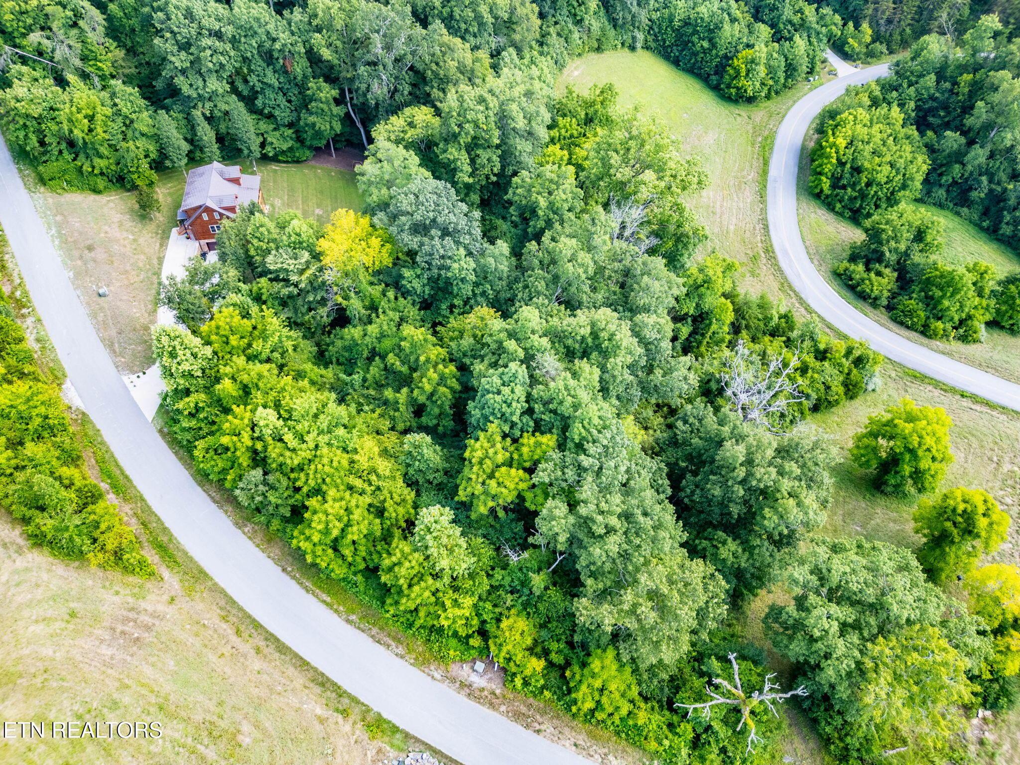 355 Larayne Hollow Rd, Sharps Chapel, TN - Norris Lake Real Estate - Image# 4