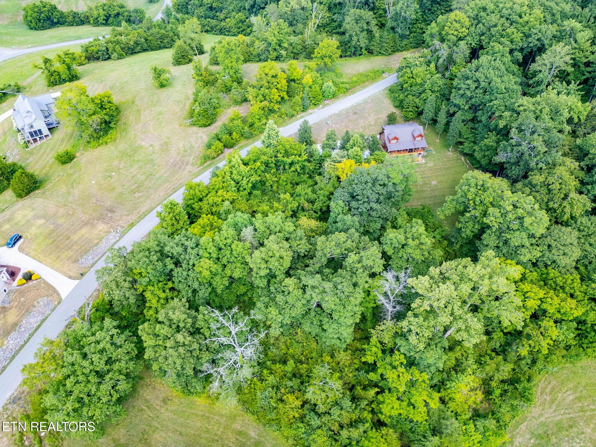 355 Larayne Hollow Rd, Sharps Chapel, TN - Norris Lake Real Estate - Image# 5