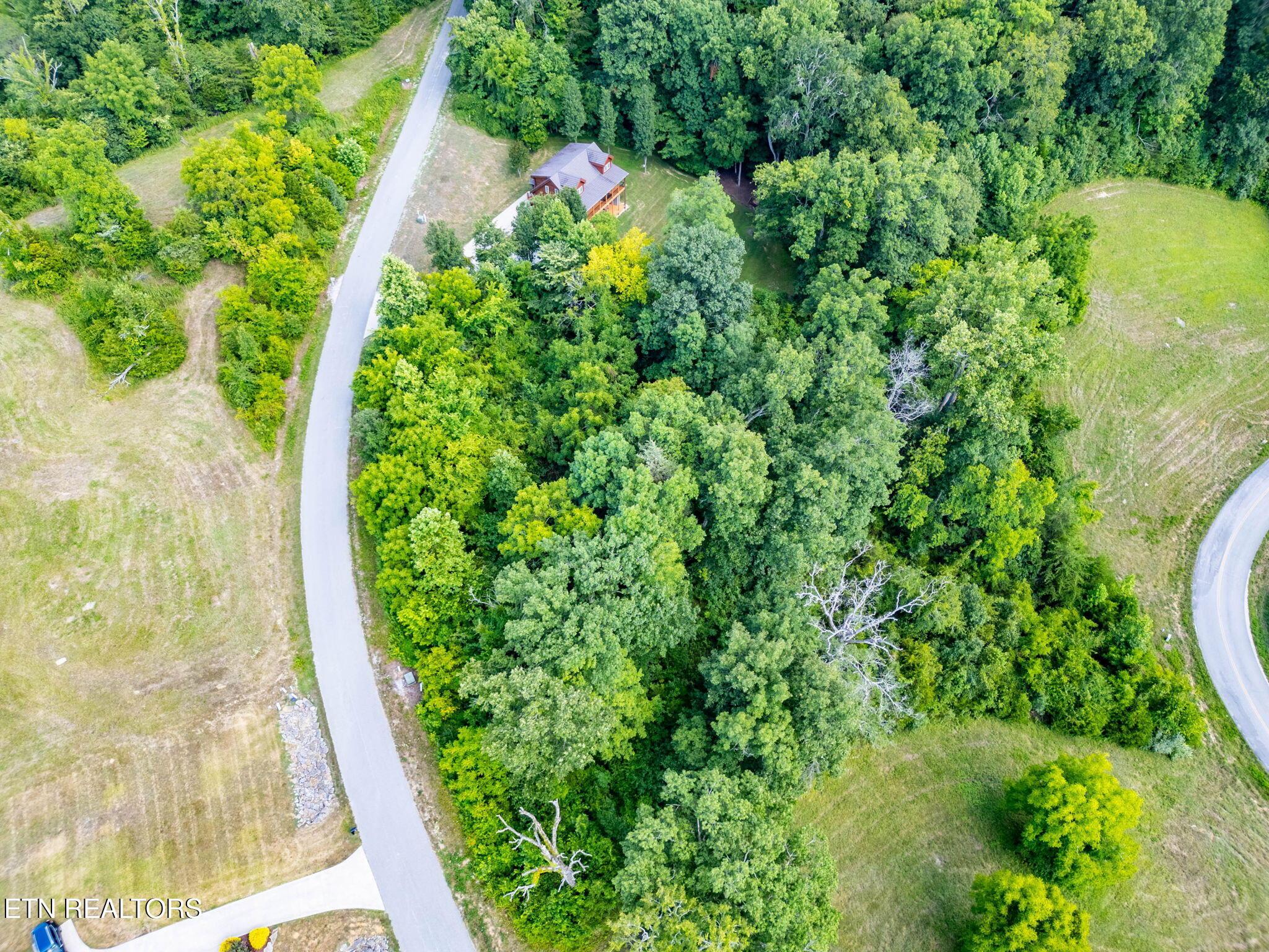 355 Larayne Hollow Rd, Sharps Chapel, TN - Norris Lake Real Estate - Image# 6