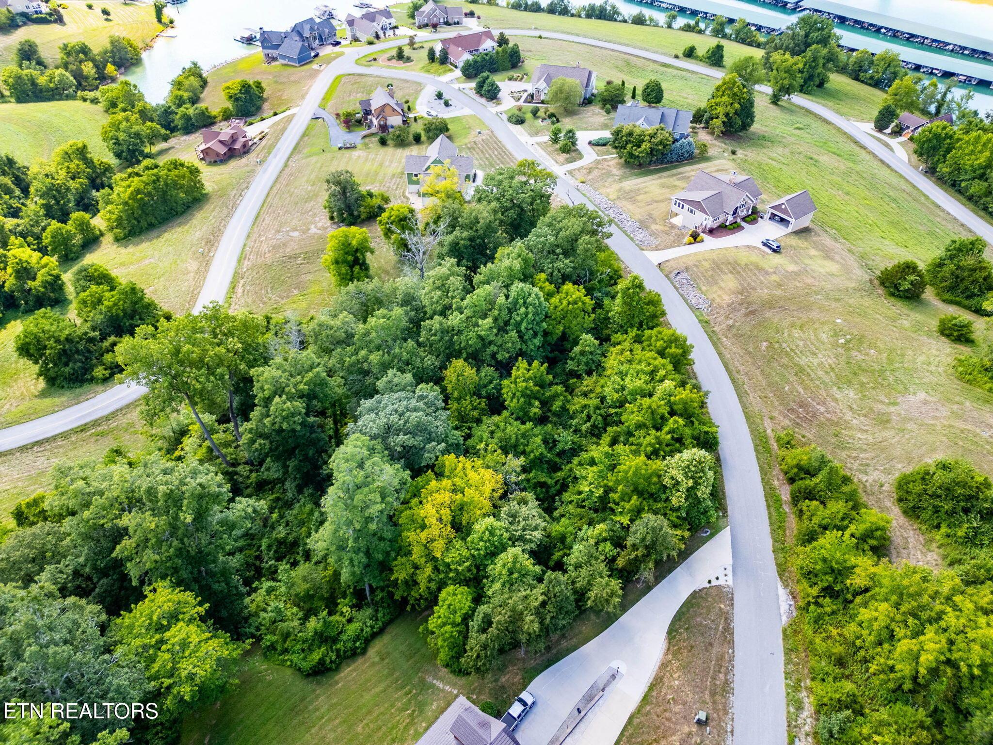 355 Larayne Hollow Rd, Sharps Chapel, TN - Norris Lake Real Estate - Image# 7