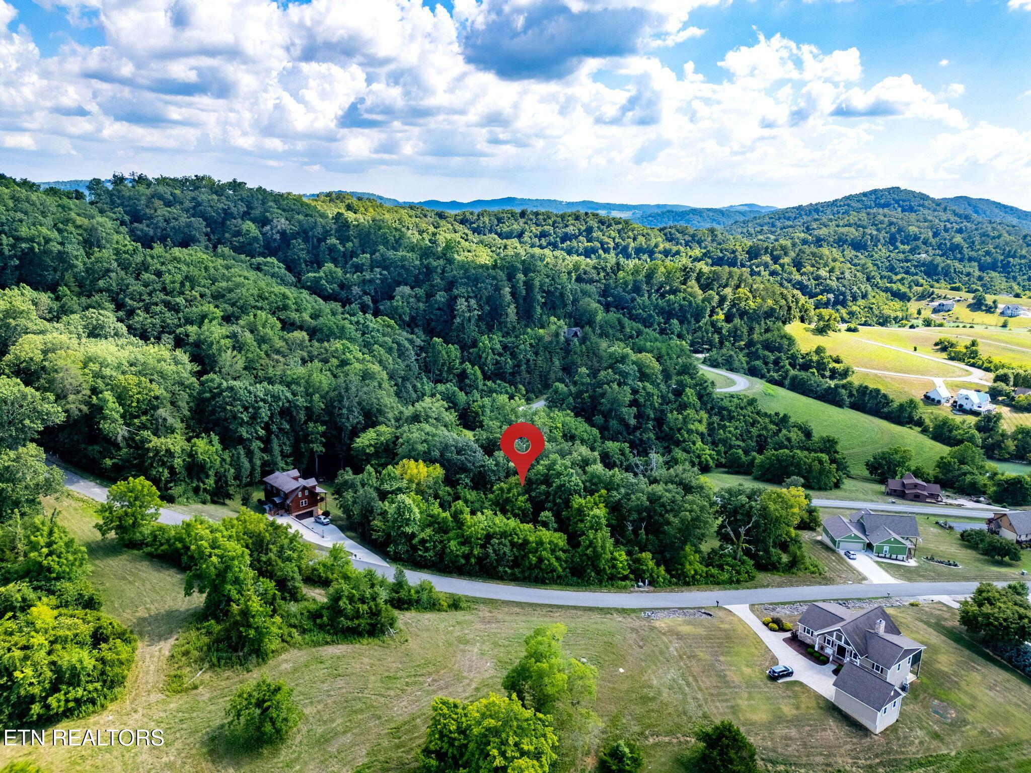 355 Larayne Hollow Rd, Sharps Chapel, TN - Norris Lake Real Estate - Image# 16