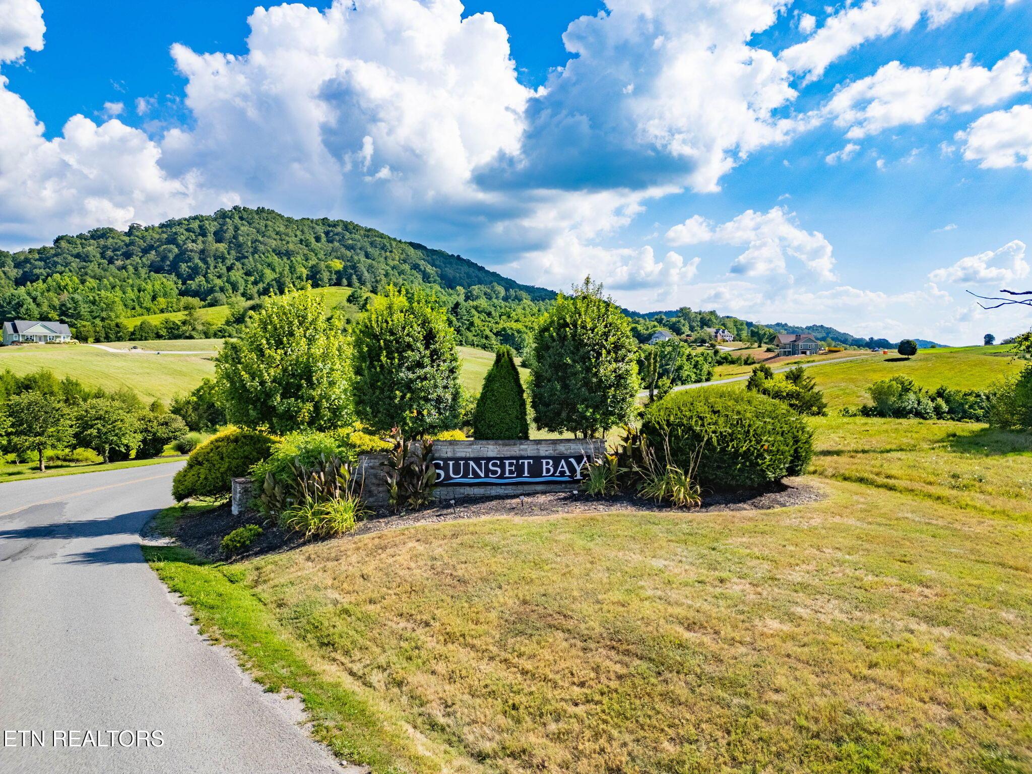 355 Larayne Hollow Rd, Sharps Chapel, TN - Norris Lake Real Estate - Image# 23