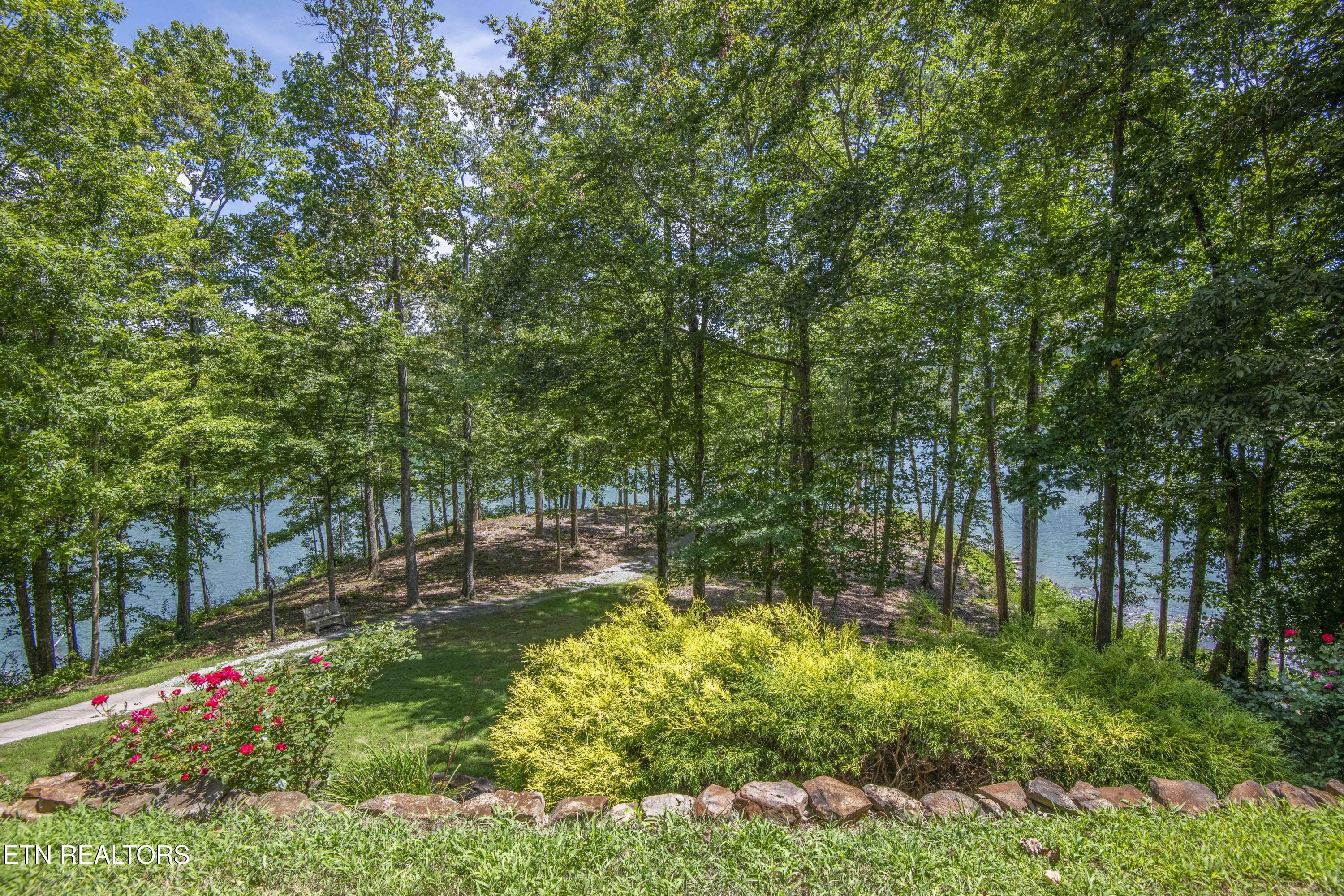 620 Bluff View Rd, New Tazewell, TN - Norris Lake Real Estate - Image# 9