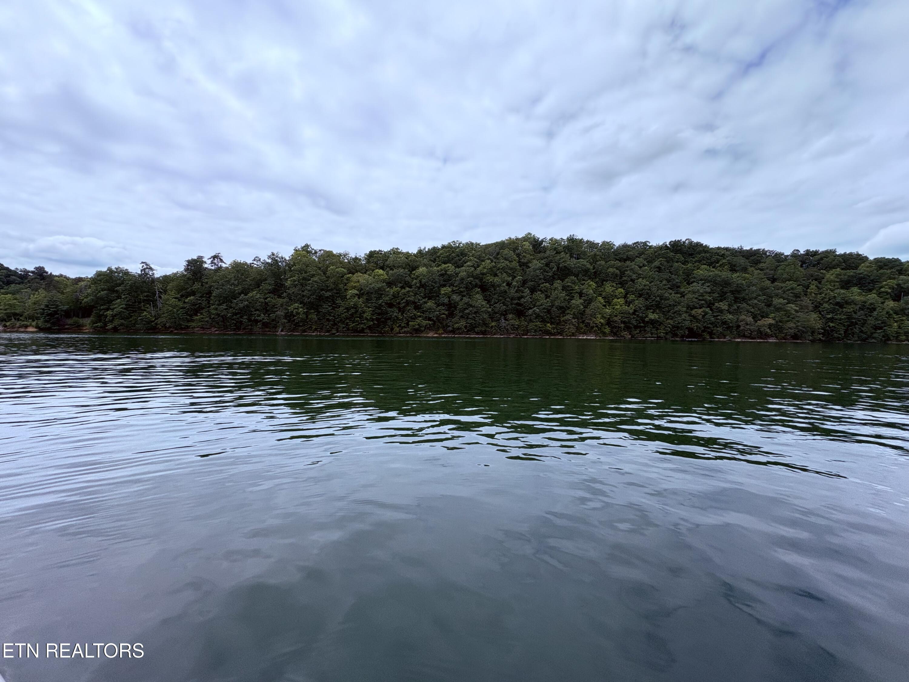 Norris Lake Real Estate - Image# 2