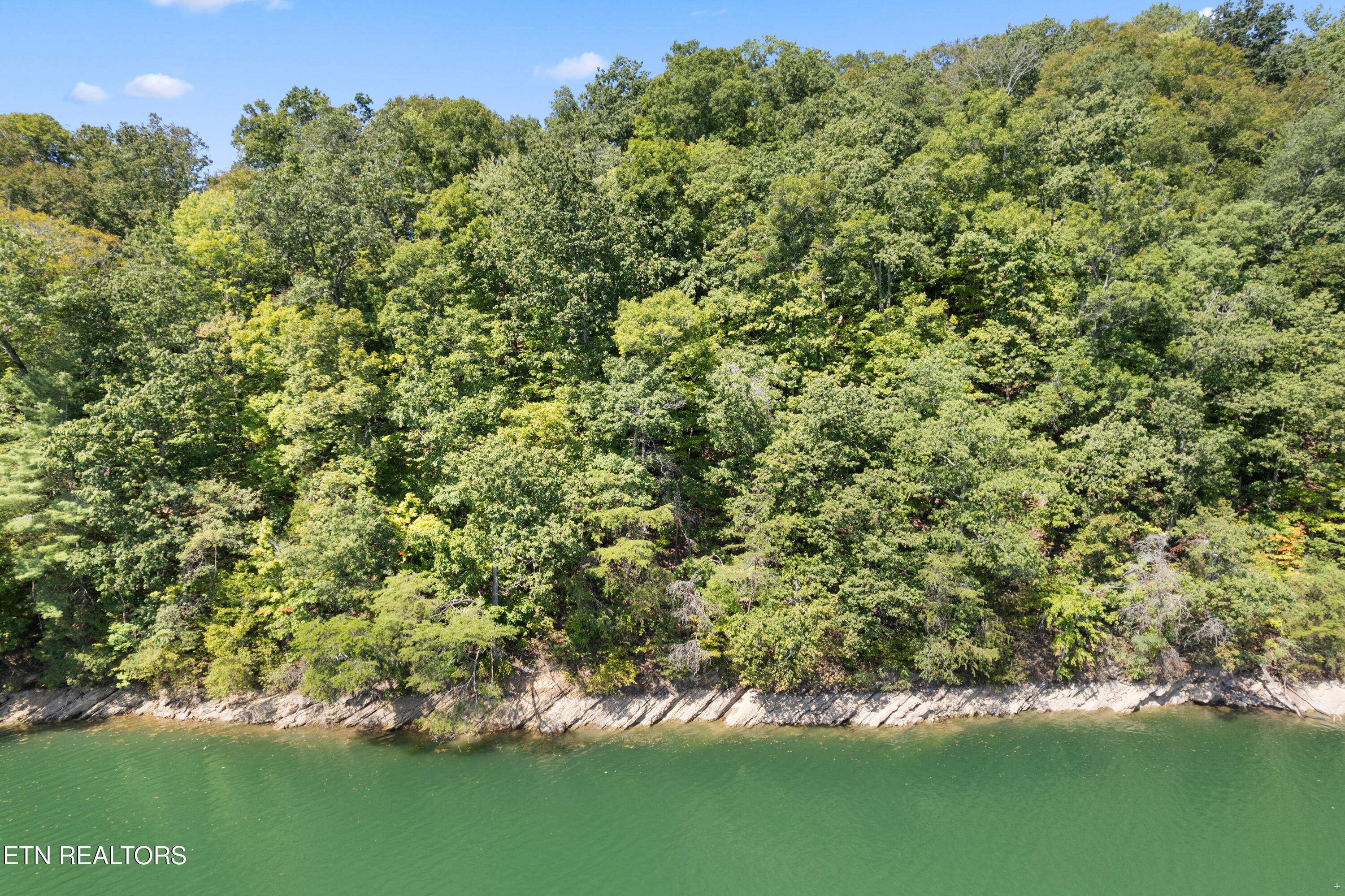 Norris Lake Real Estate - Image# 19