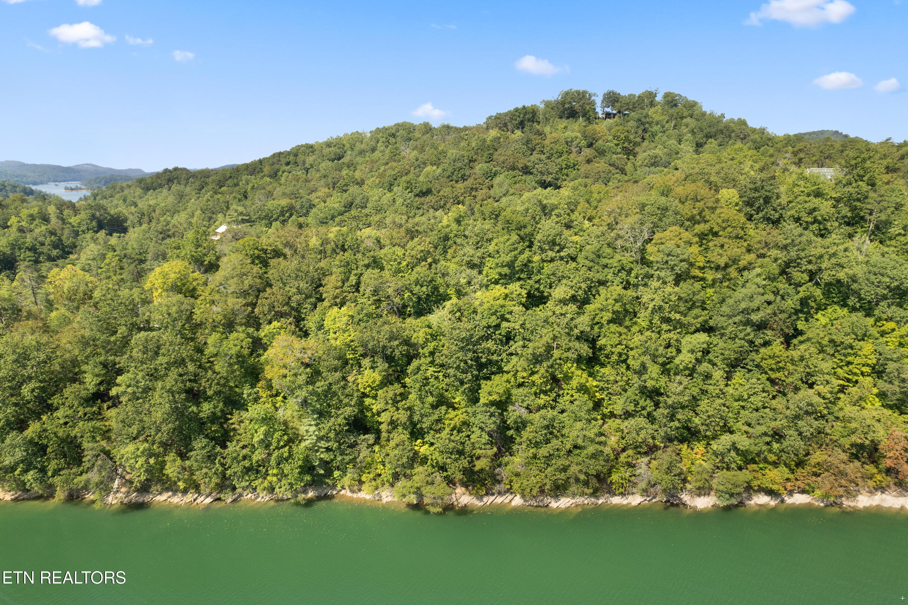 Norris Lake Real Estate - Image# 17