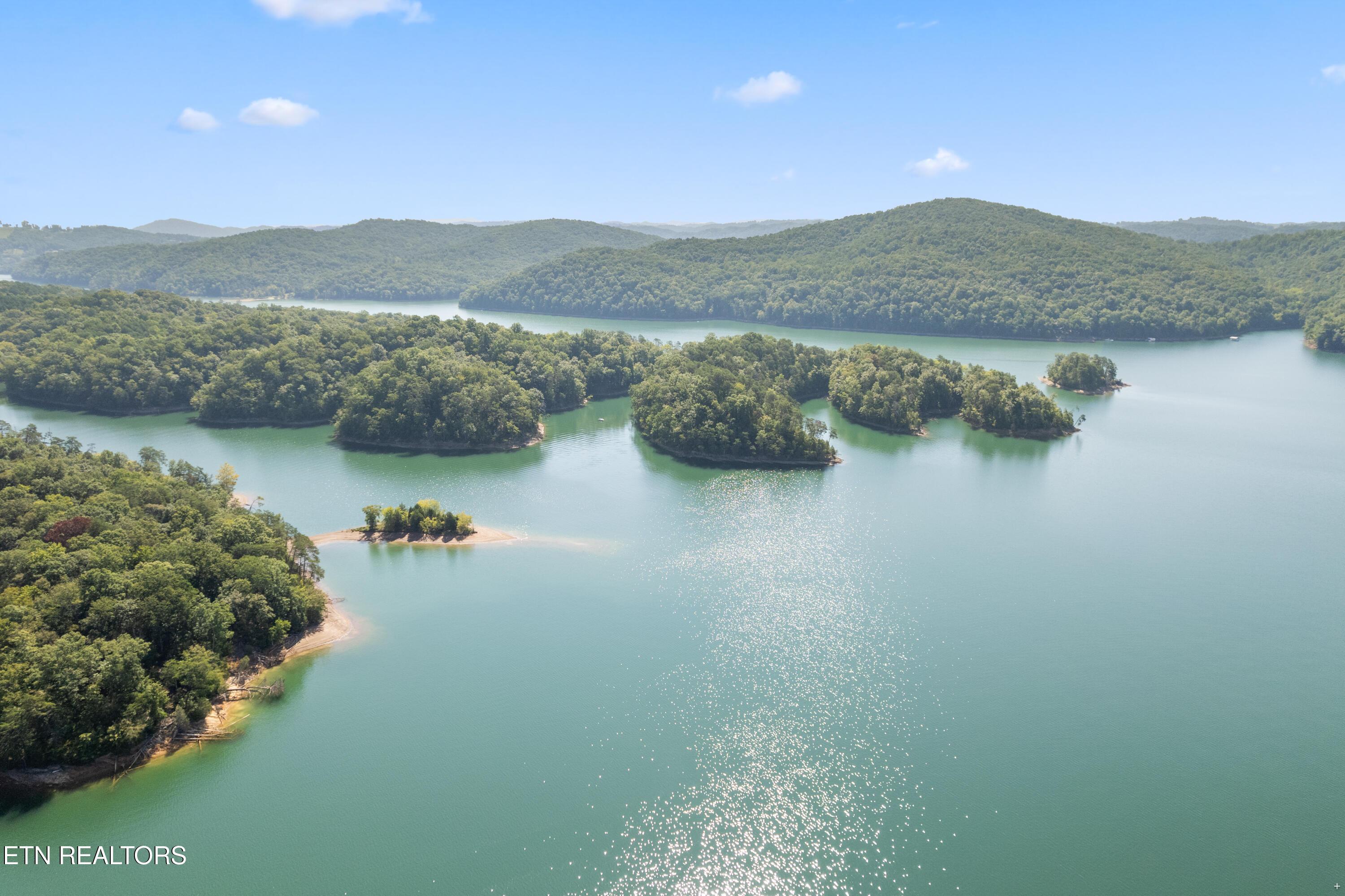 Norris Lake Real Estate - Image# 9