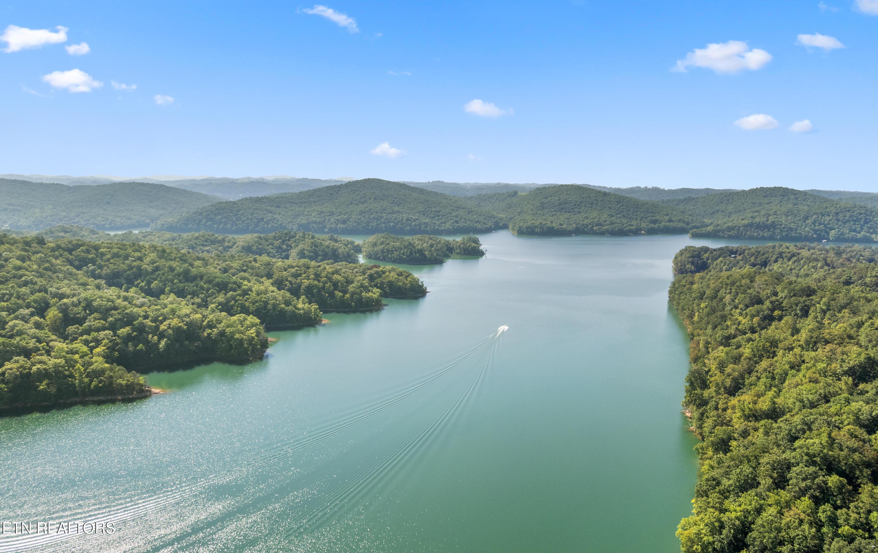 Norris Lake Real Estate - Image# 3