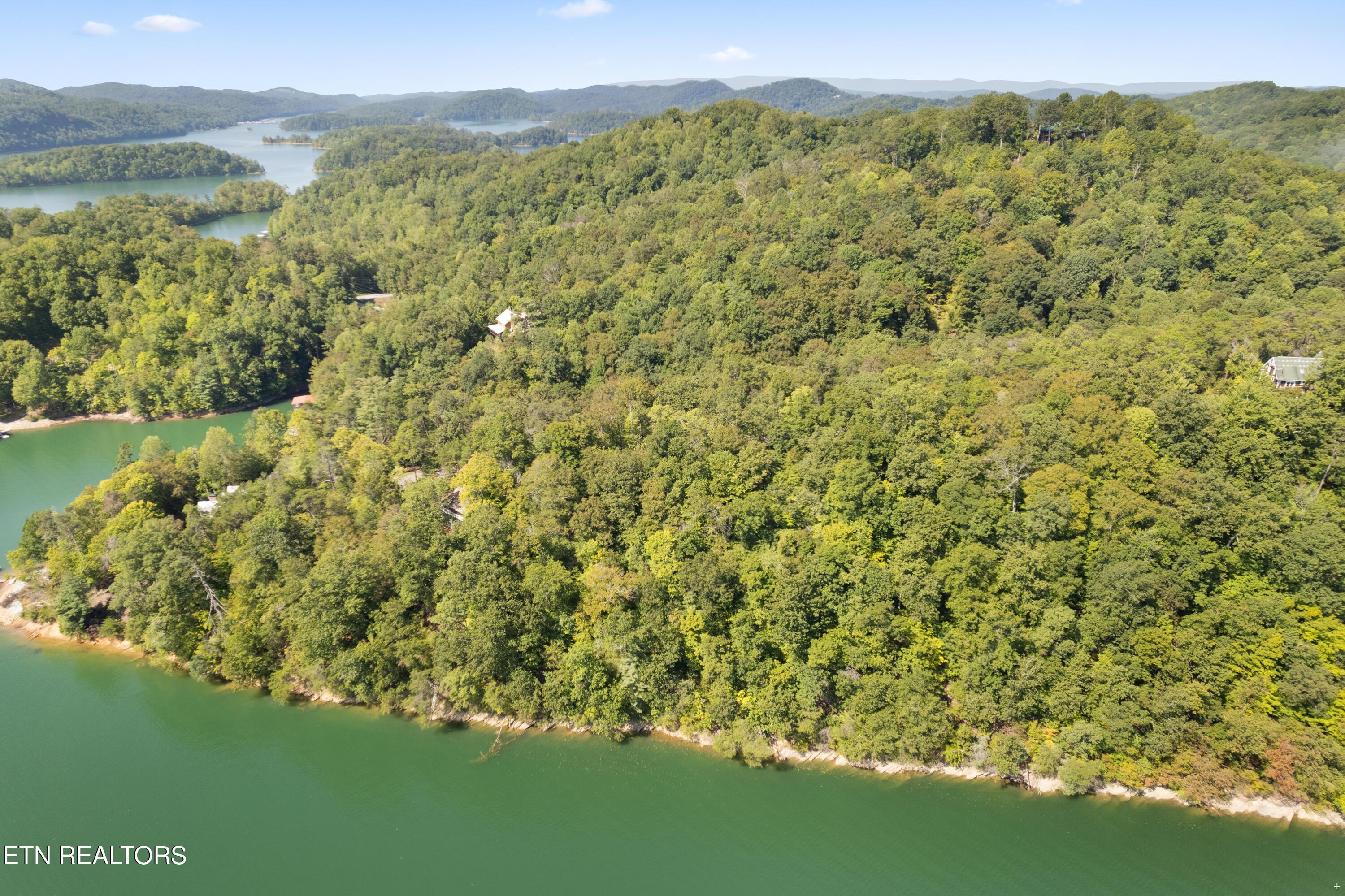 Norris Lake Real Estate - Image# 15