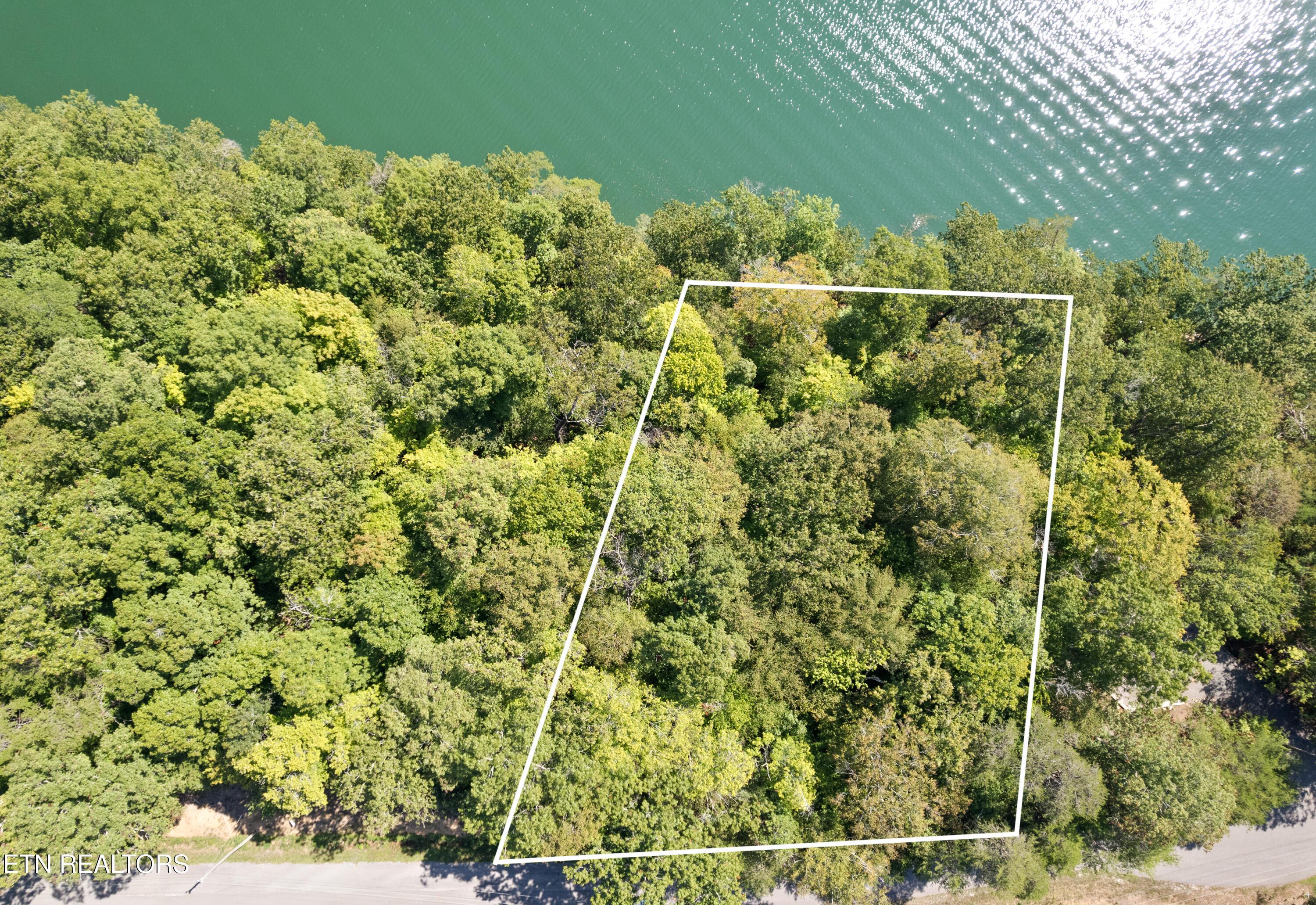 Norris Lake Real Estate - Image# 5