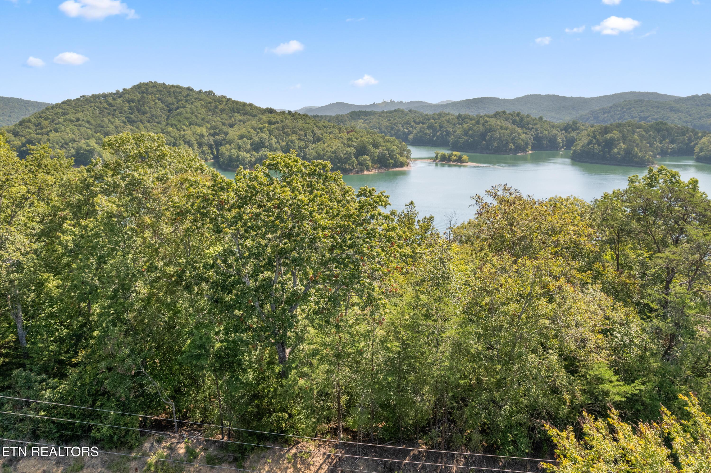 Norris Lake Real Estate - Image# 13