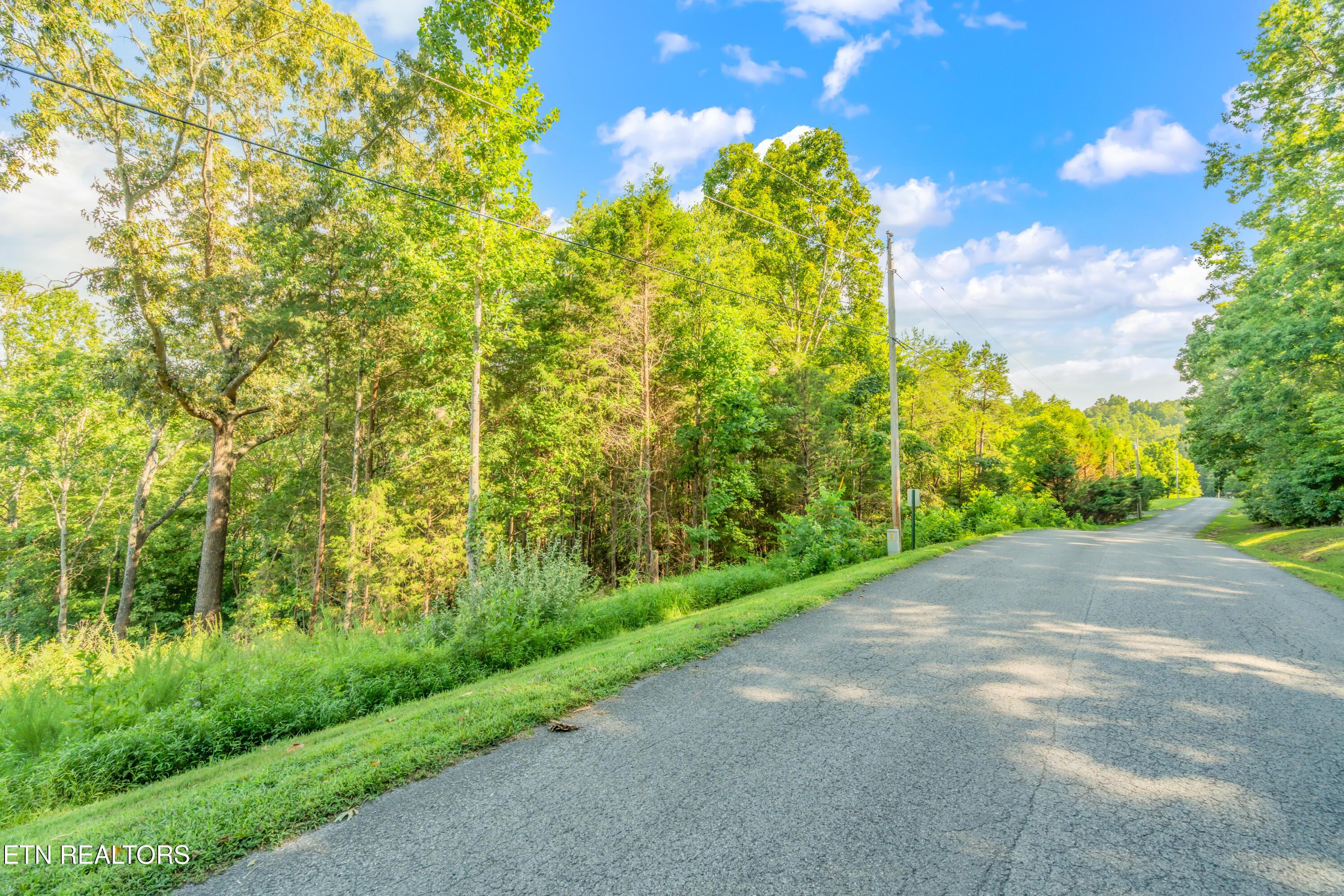 6 Shanghai Landing Lane, Lafollette, TN - Norris Lake Real Estate - Image# 4