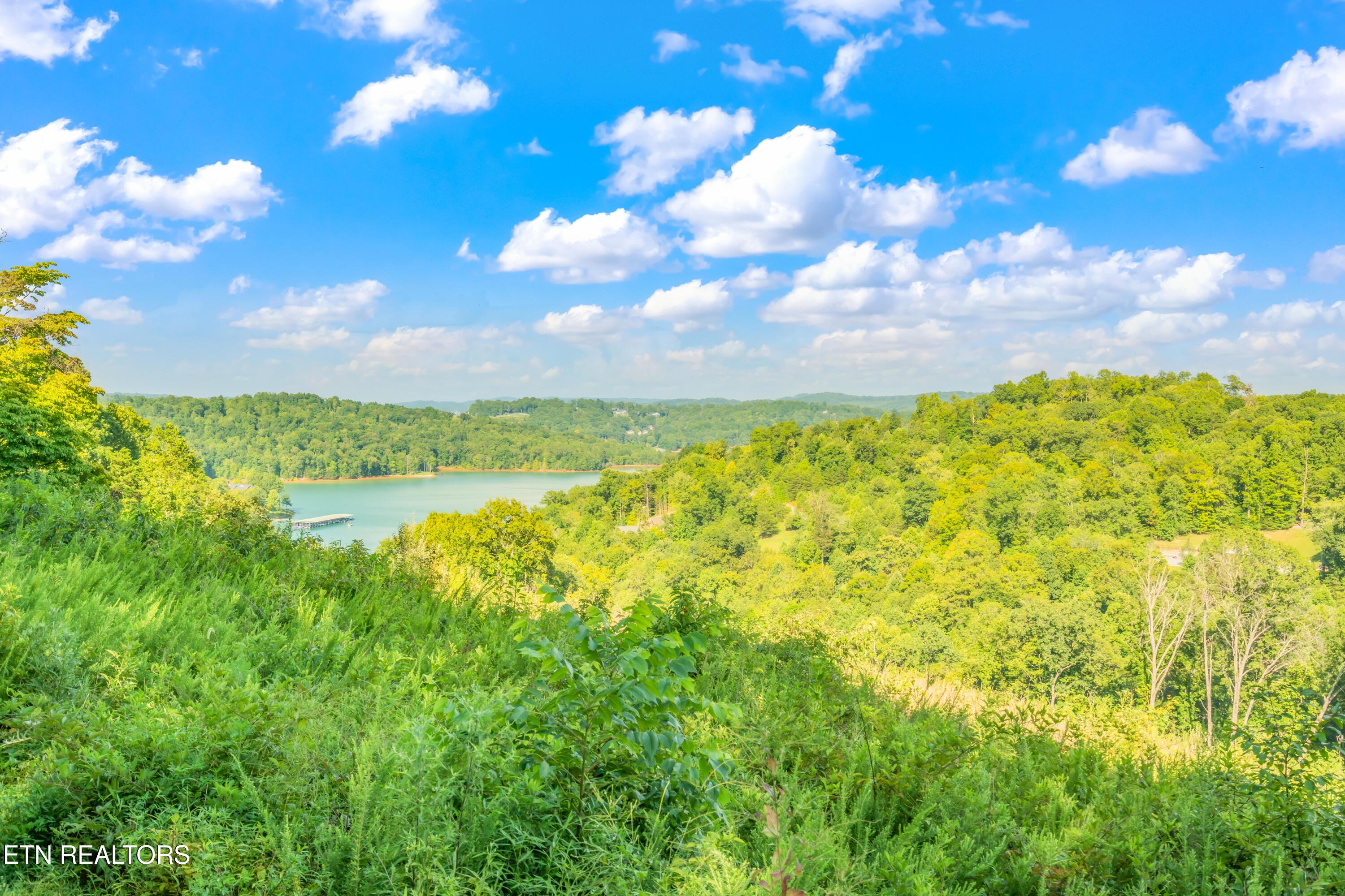 6 Shanghai Landing Lane, Lafollette, TN - Norris Lake Real Estate - Image# 2