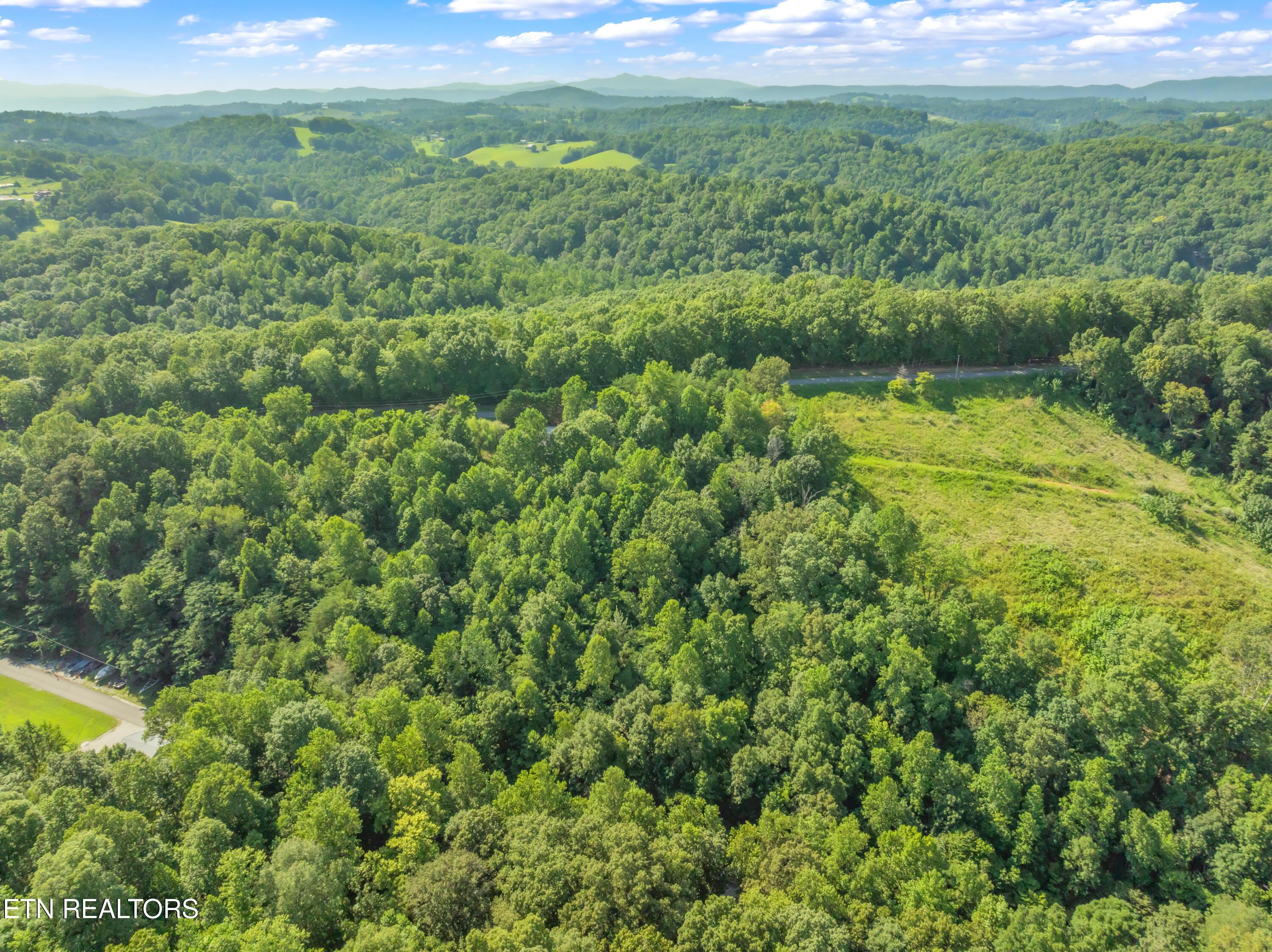 6 Shanghai Landing Lane, Lafollette, TN - Norris Lake Real Estate - Image# 11