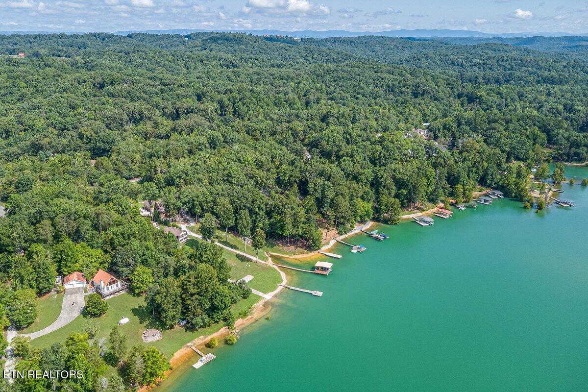 Fox Hollow Lane, Andersonville, TN - Norris Lake Real Estate - Image# 8