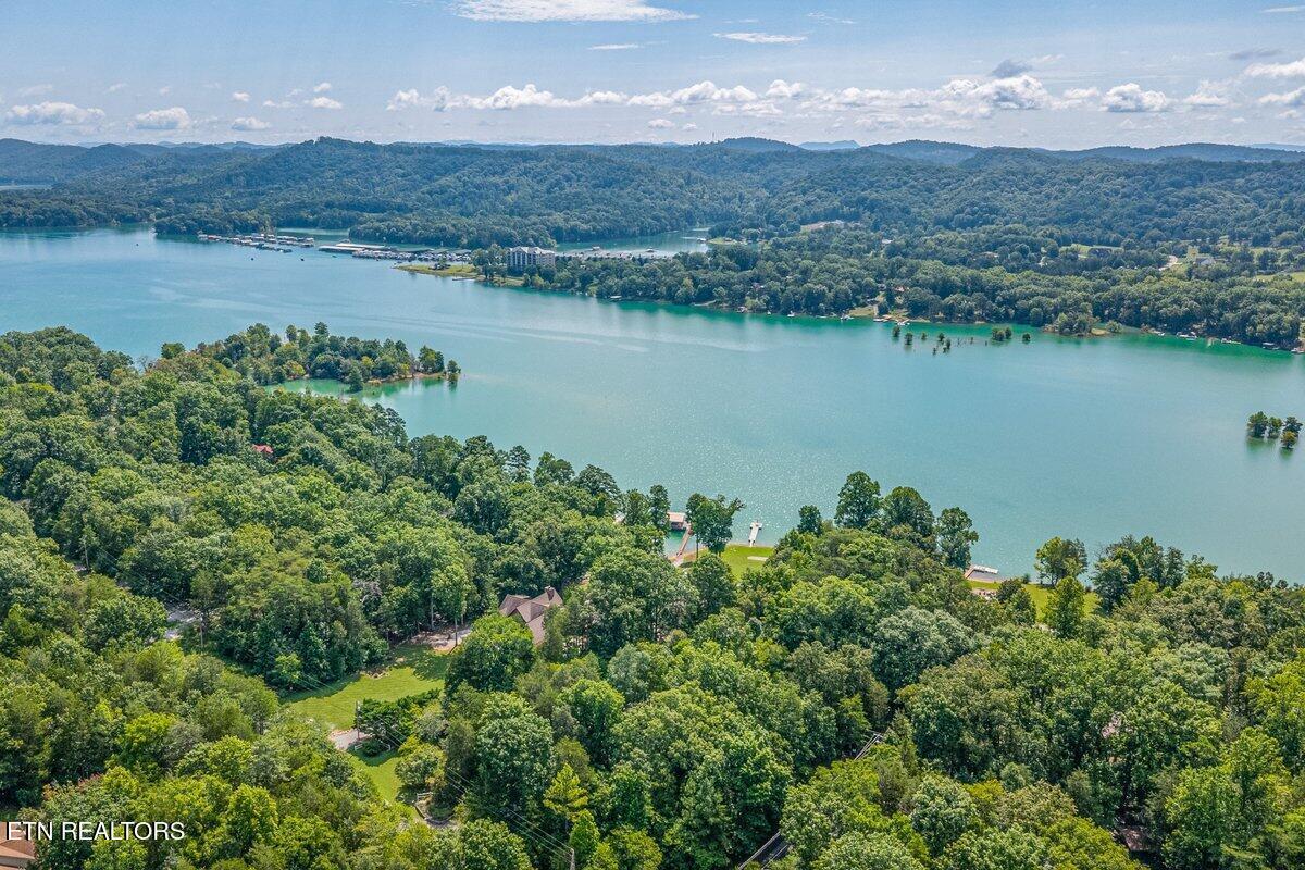Fox Hollow Lane, Andersonville, TN - Norris Lake Real Estate - Image# 12