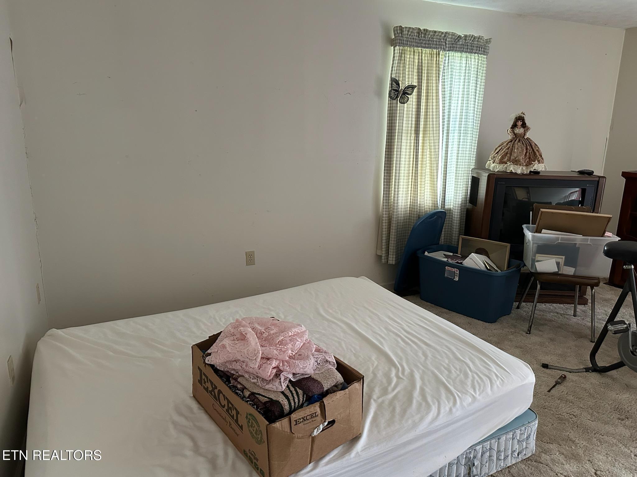 165 Bud Hatmaker Lane, Lafollette, TN - Norris Lake Real Estate - Image# 23