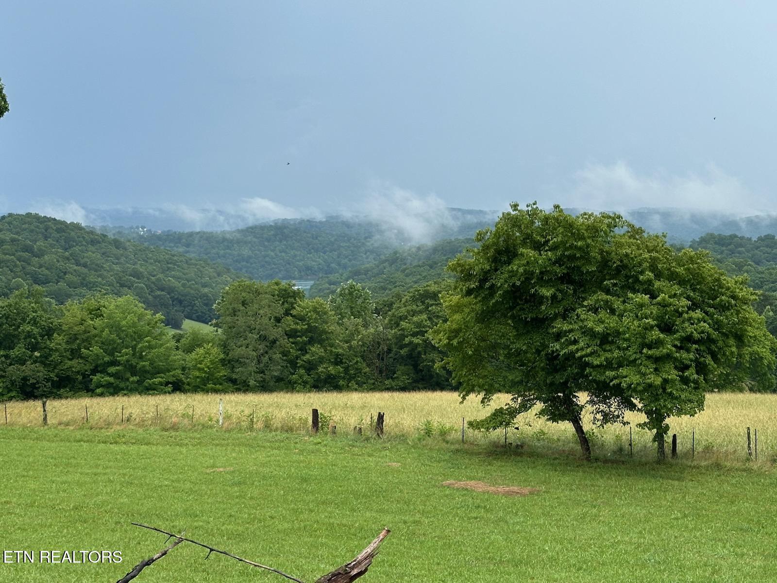 165 Bud Hatmaker Lane, Lafollette, TN - Norris Lake Real Estate - Image# 39