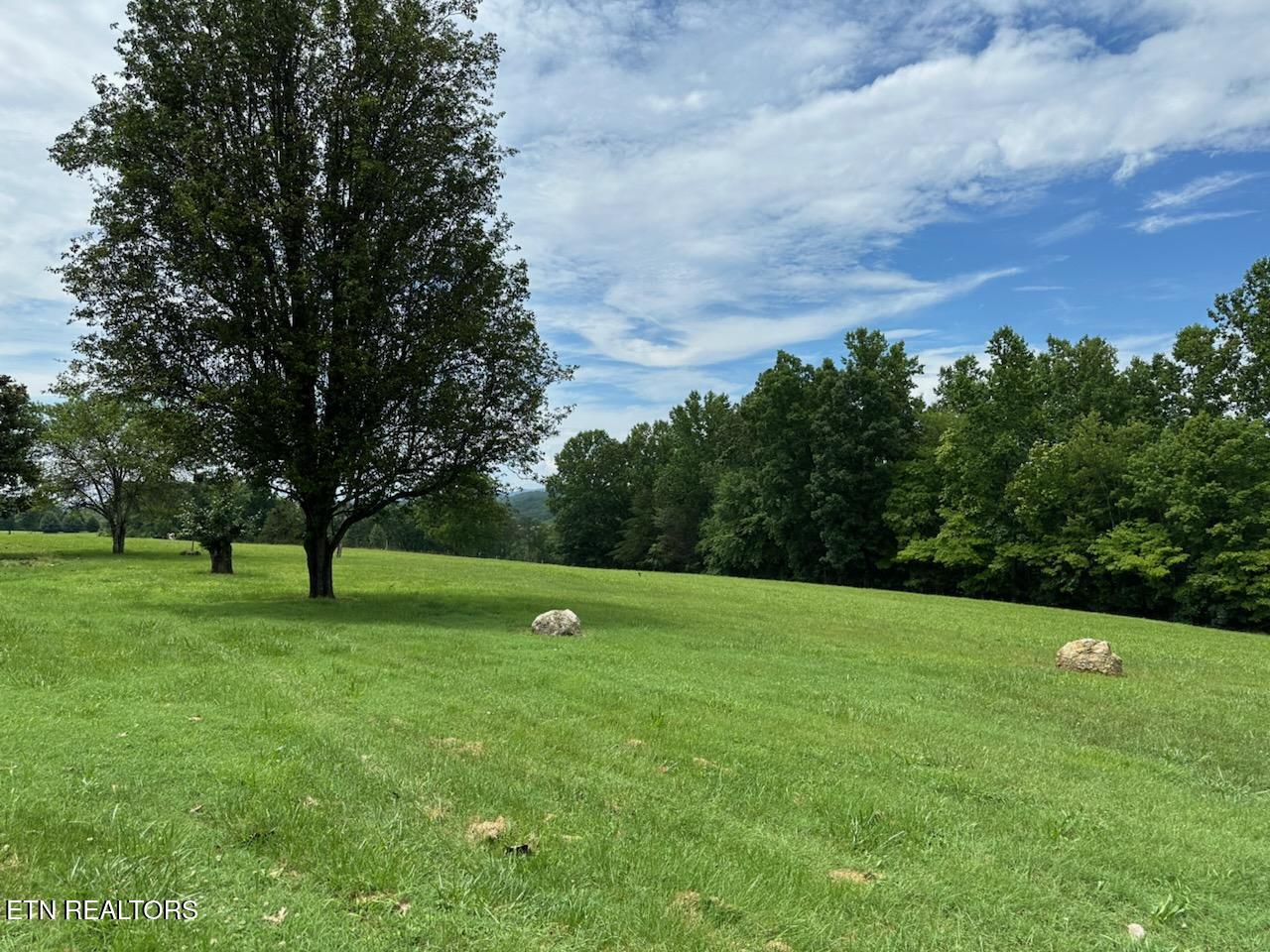 165 Bud Hatmaker Lane, Lafollette, TN - Norris Lake Real Estate - Image# 42