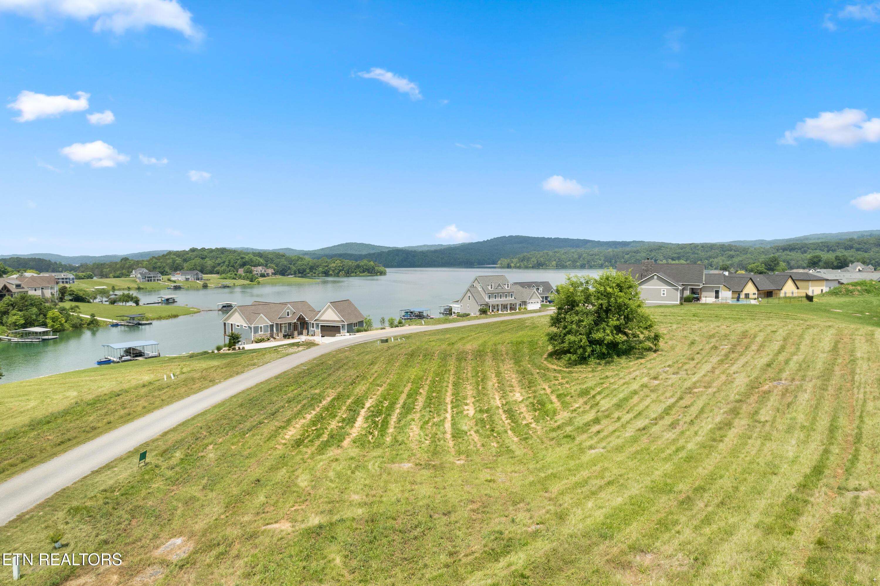Norris Lake Real Estate - Image# 4