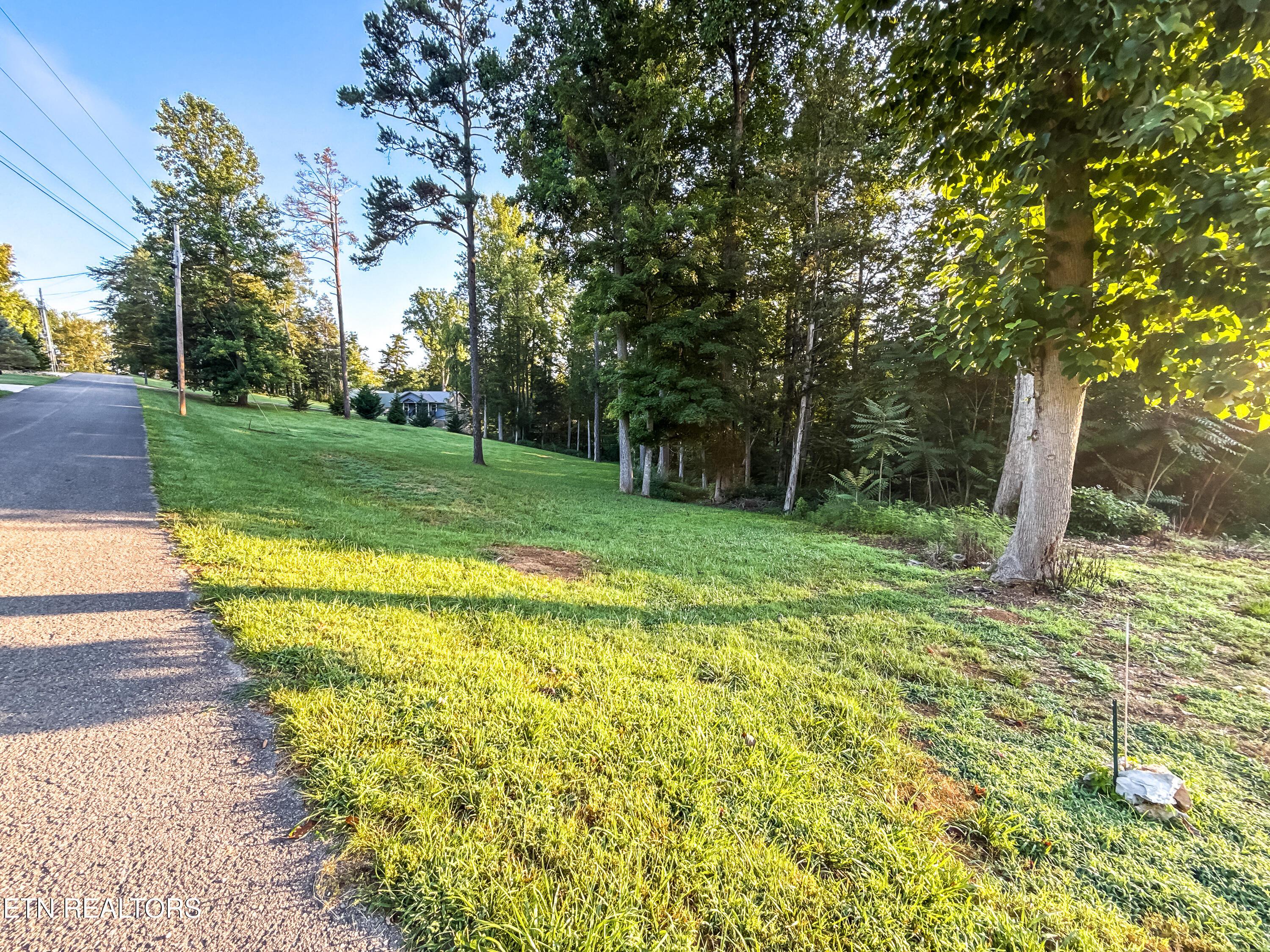 Norris Lake Real Estate - Image# 10