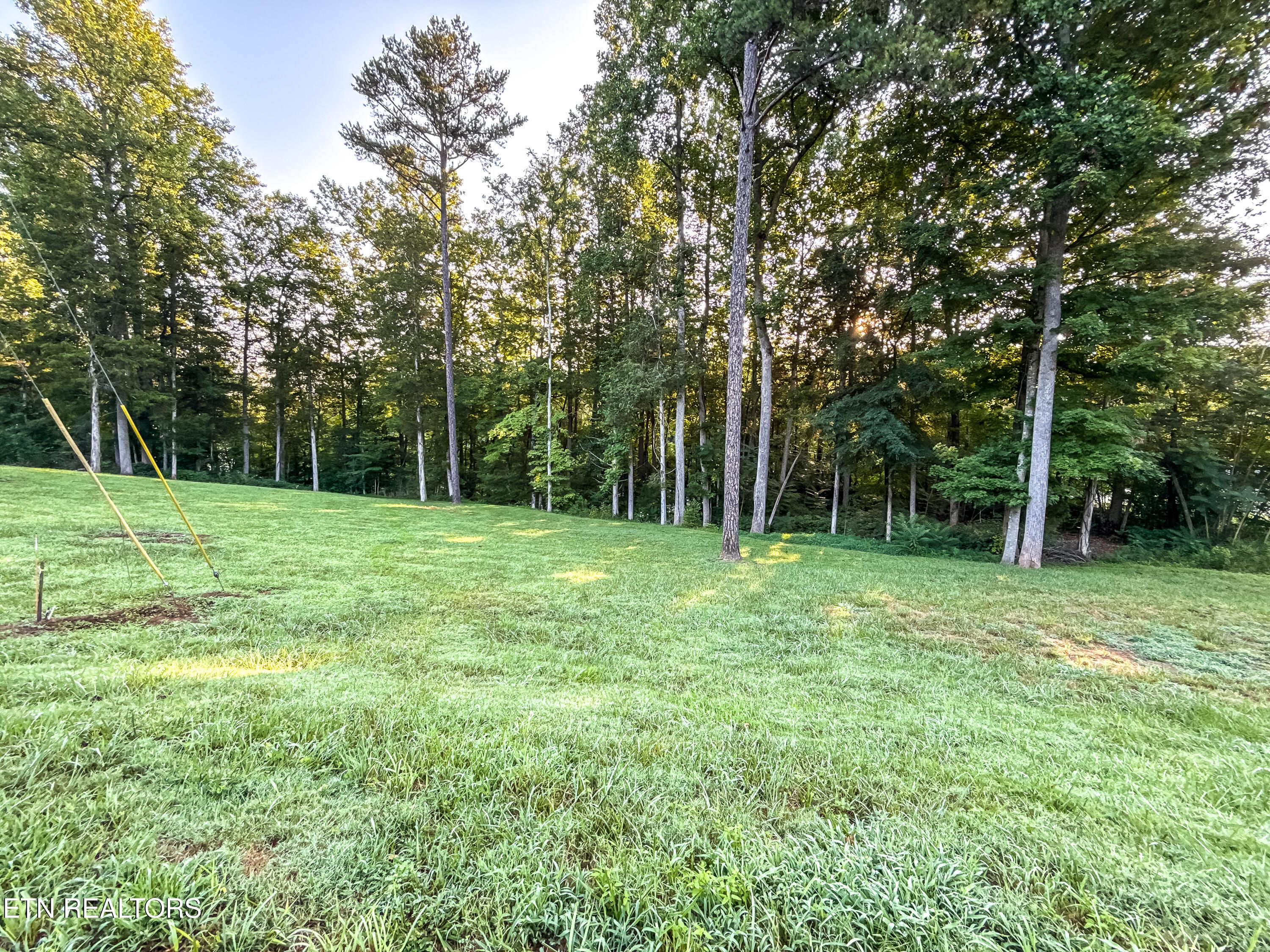 Norris Lake Real Estate - Image# 11