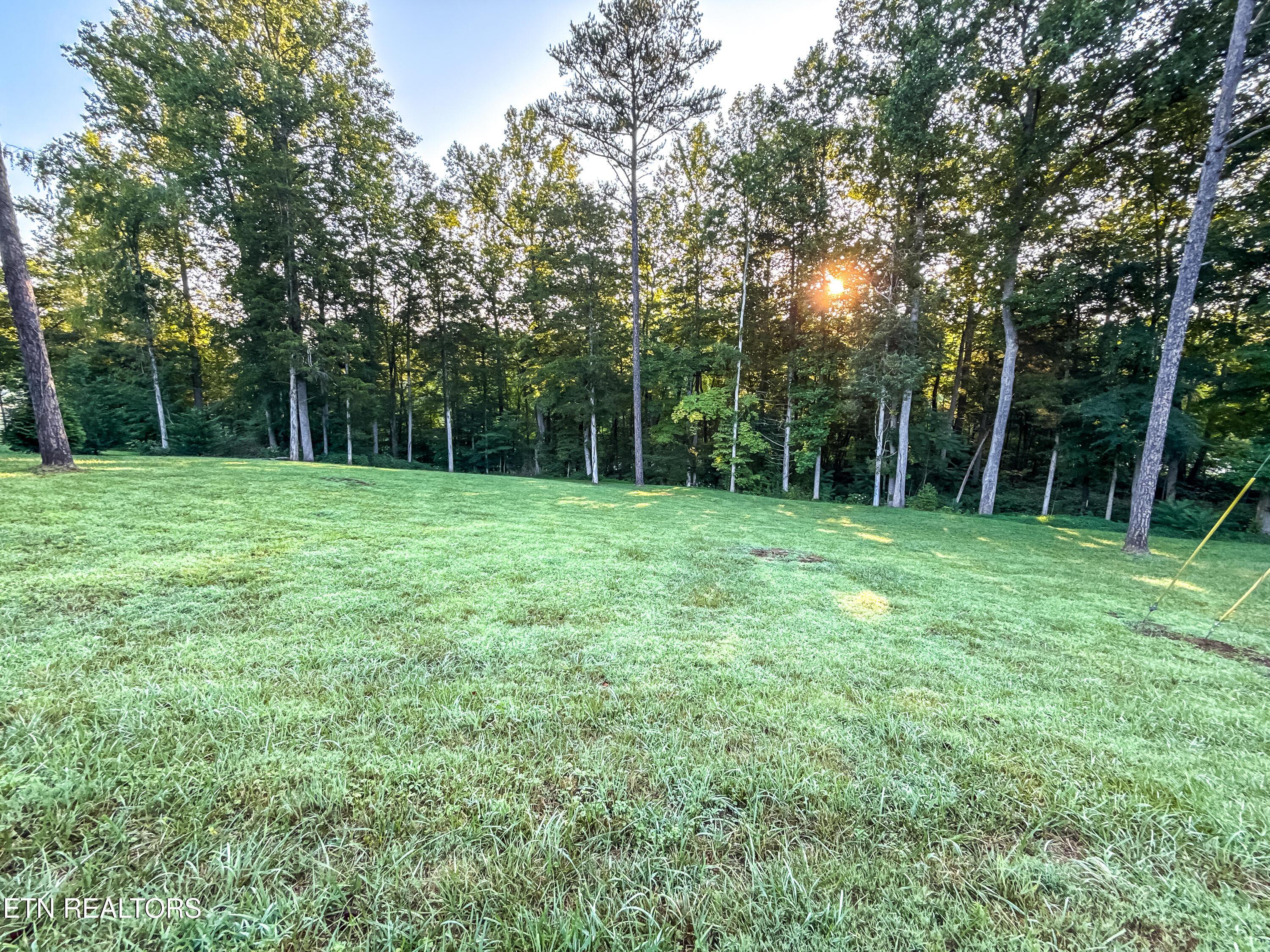 Norris Lake Real Estate - Image# 9