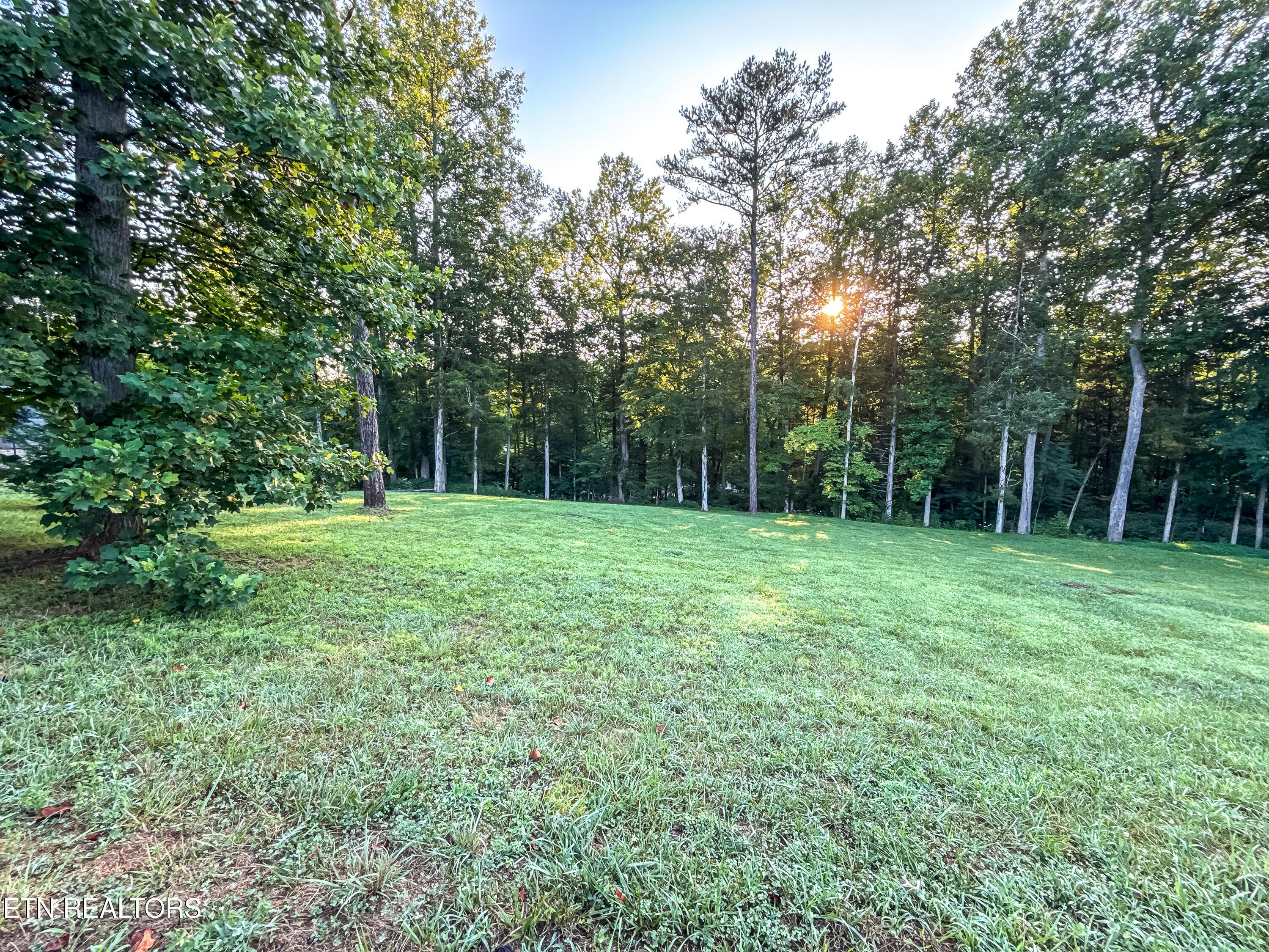 Norris Lake Real Estate - Image# 7