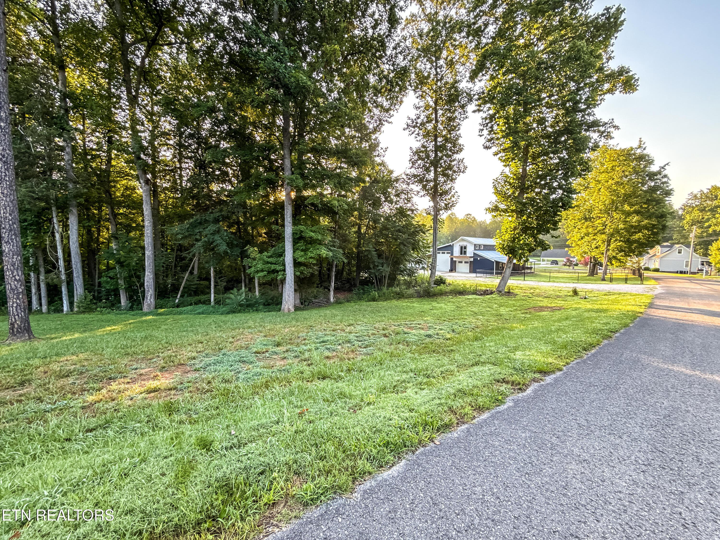 Norris Lake Real Estate - Image# 12
