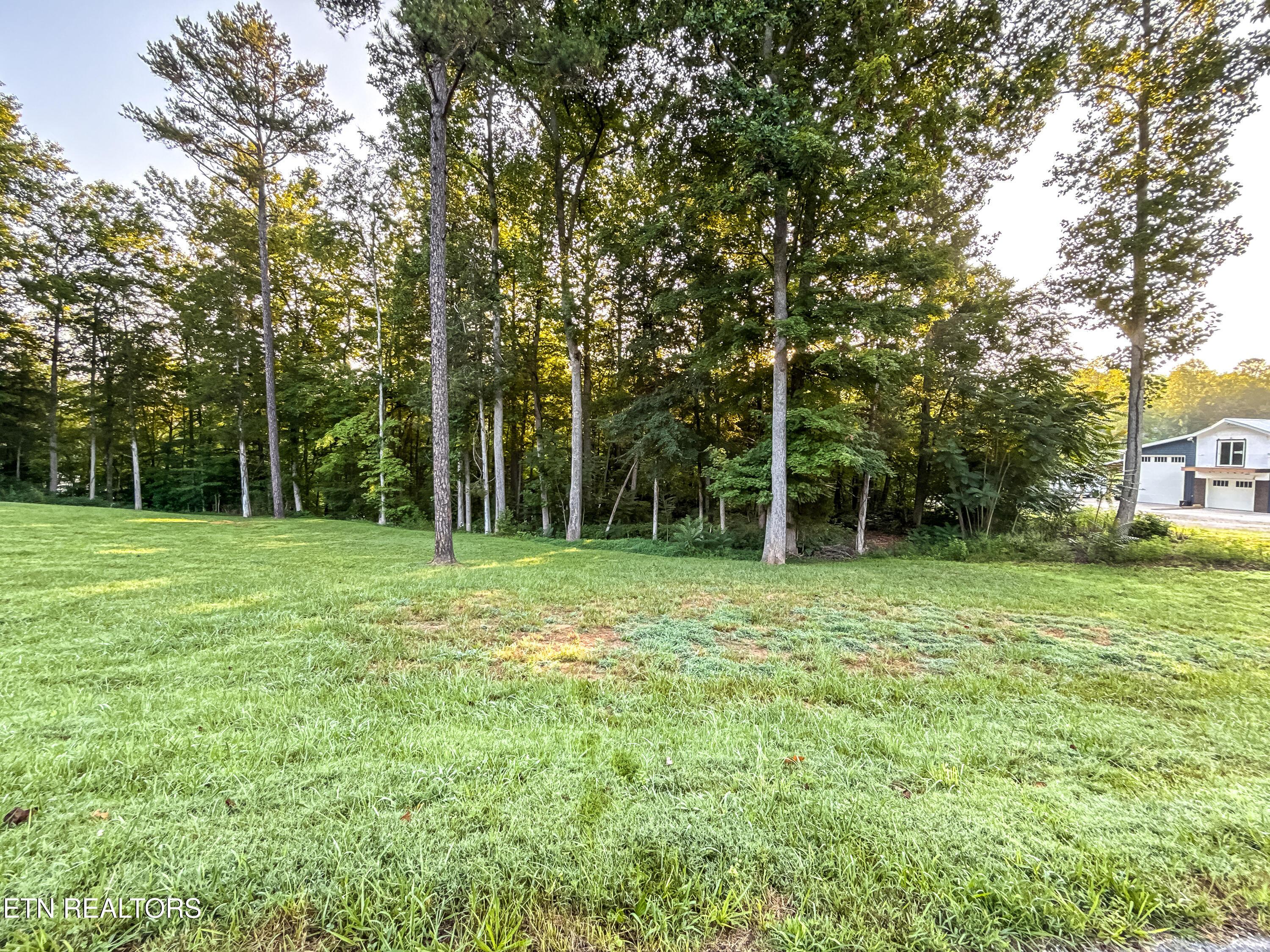 Norris Lake Real Estate - Image# 13