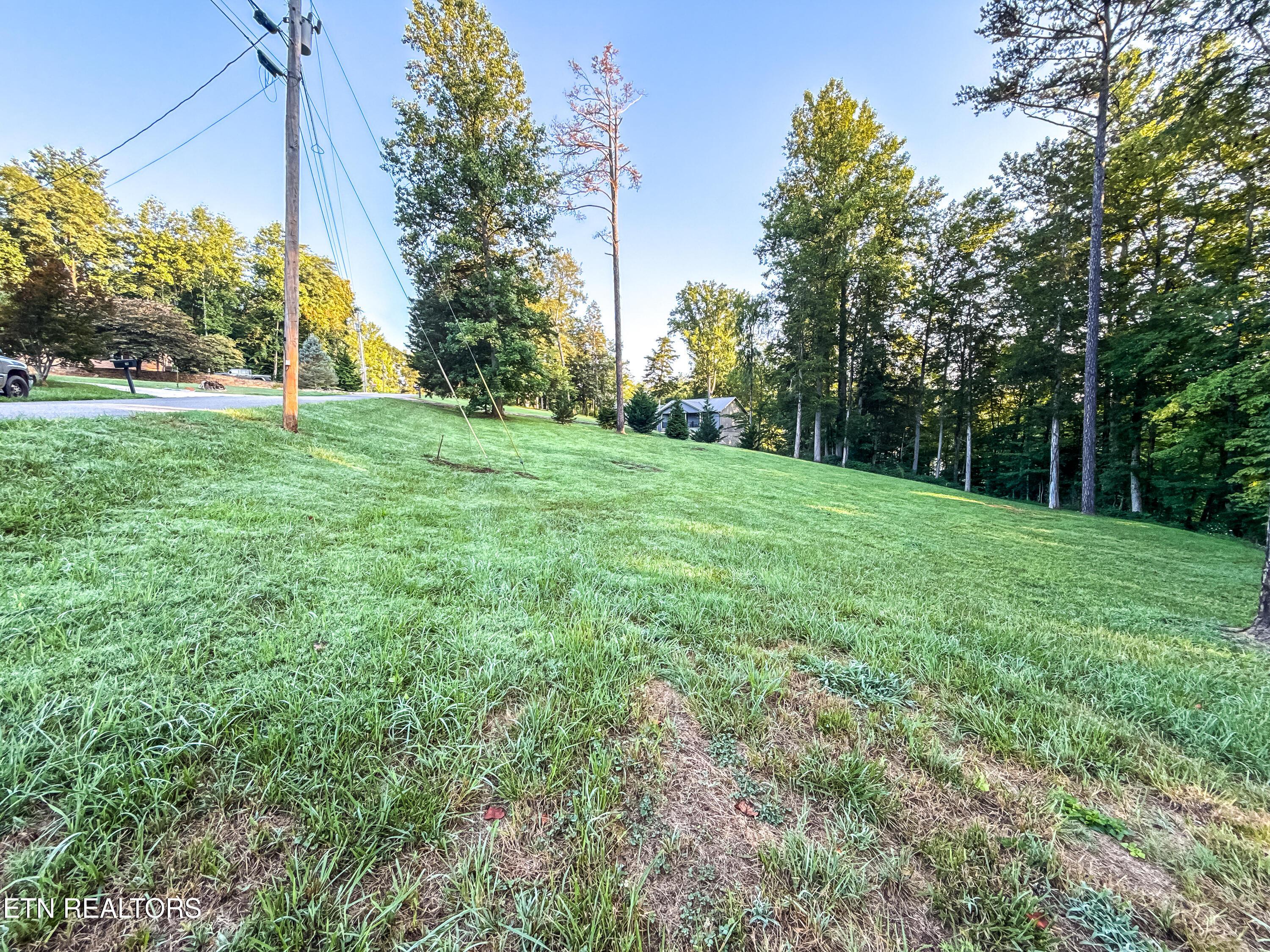 Norris Lake Real Estate - Image# 15