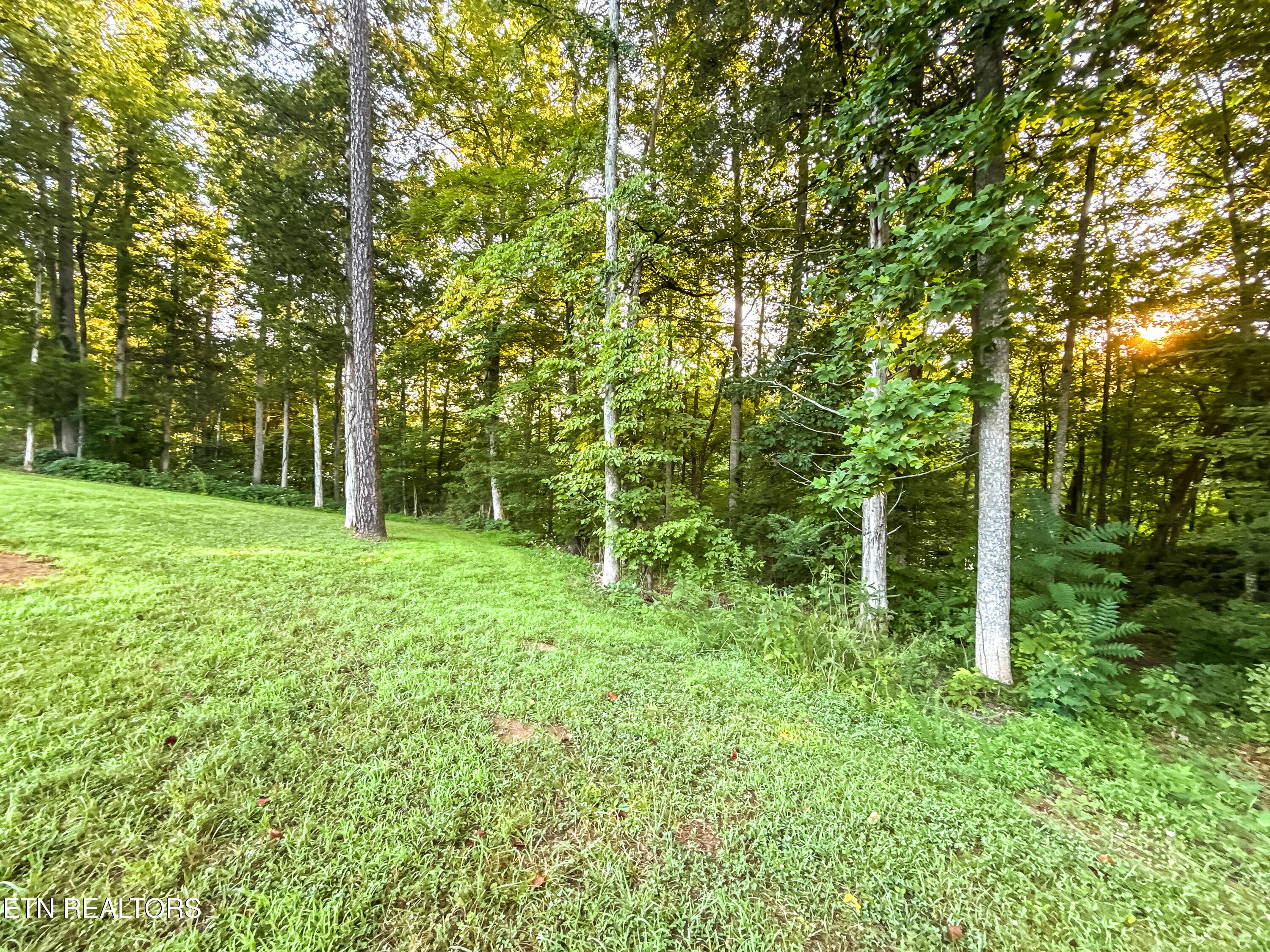 Norris Lake Real Estate - Image# 16