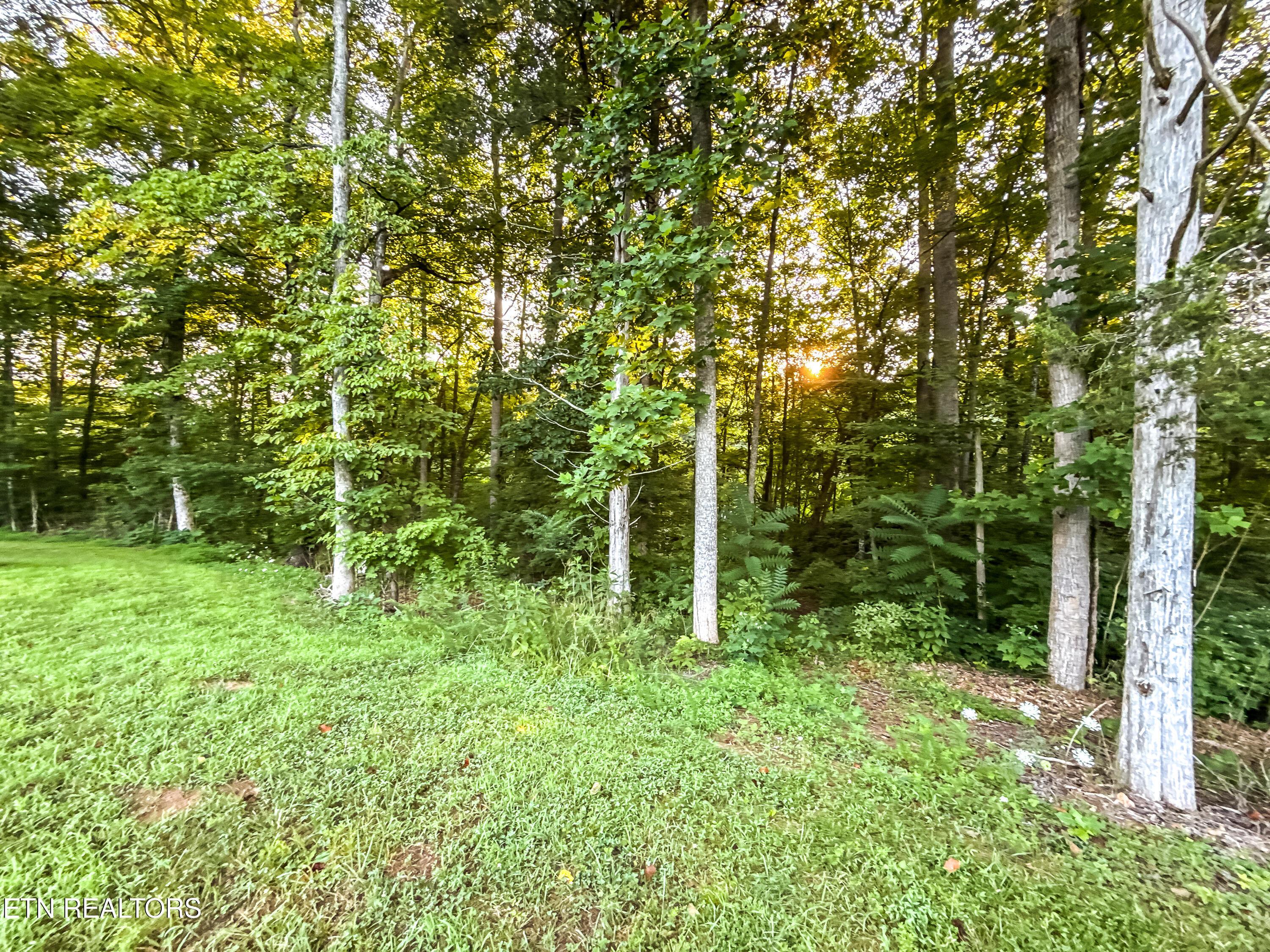 Norris Lake Real Estate - Image# 17