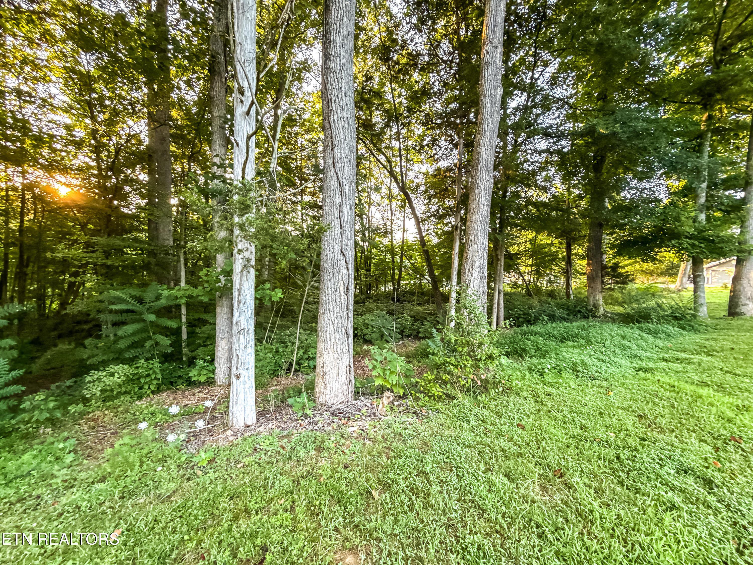 Norris Lake Real Estate - Image# 18