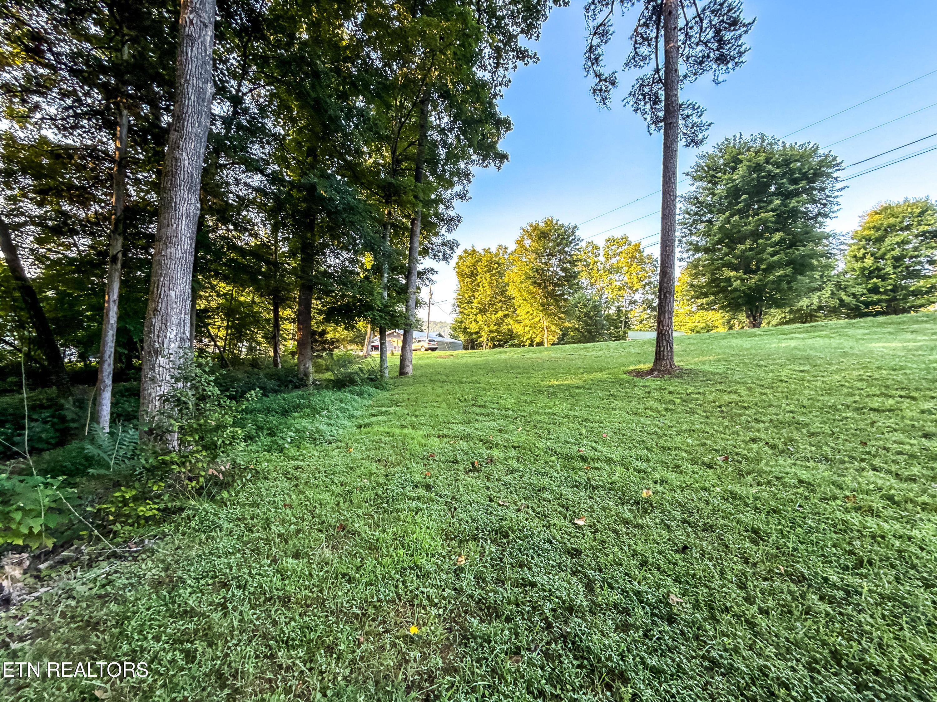 Norris Lake Real Estate - Image# 19