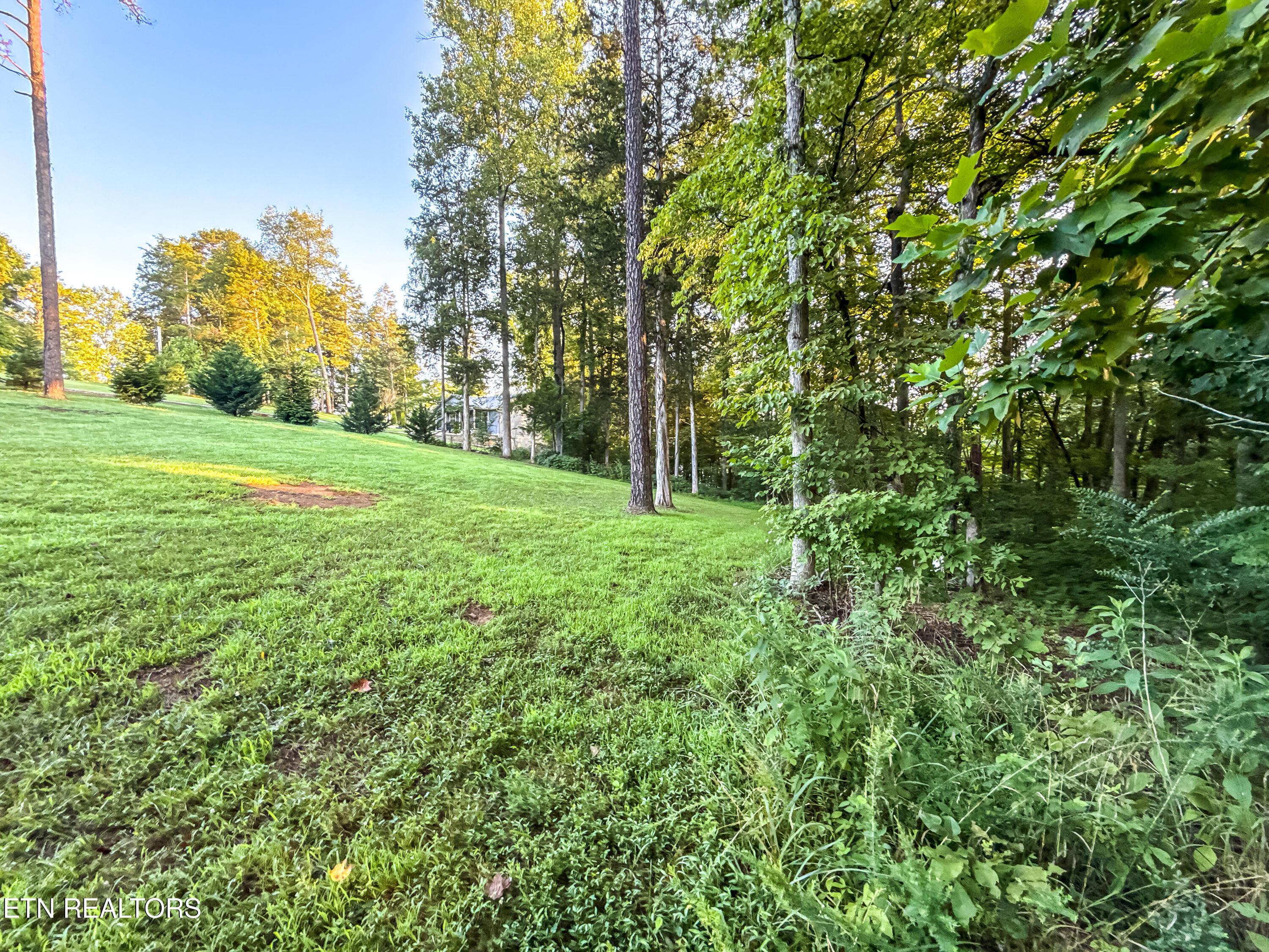 Norris Lake Real Estate - Image# 21