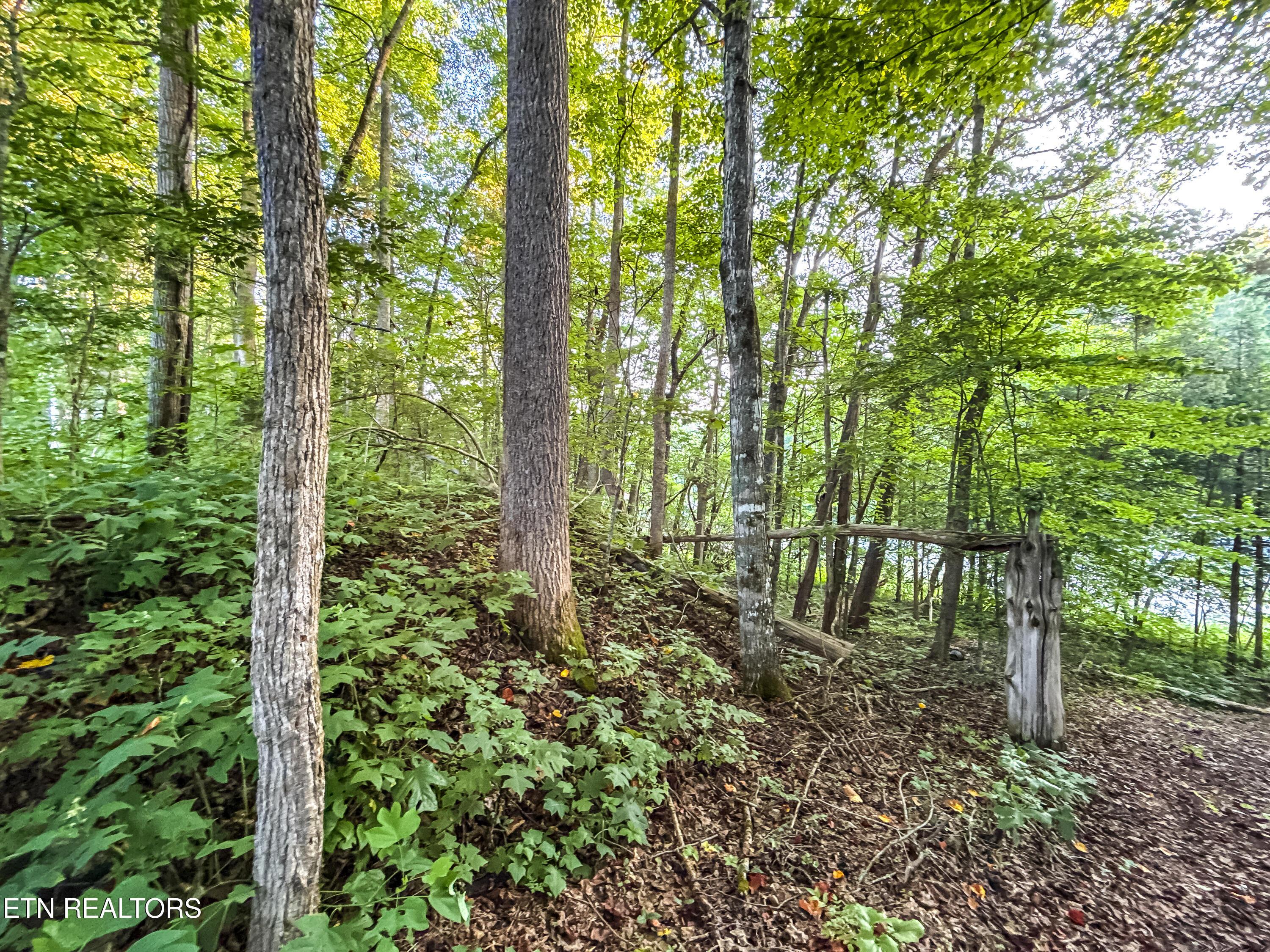 Norris Lake Real Estate - Image# 23
