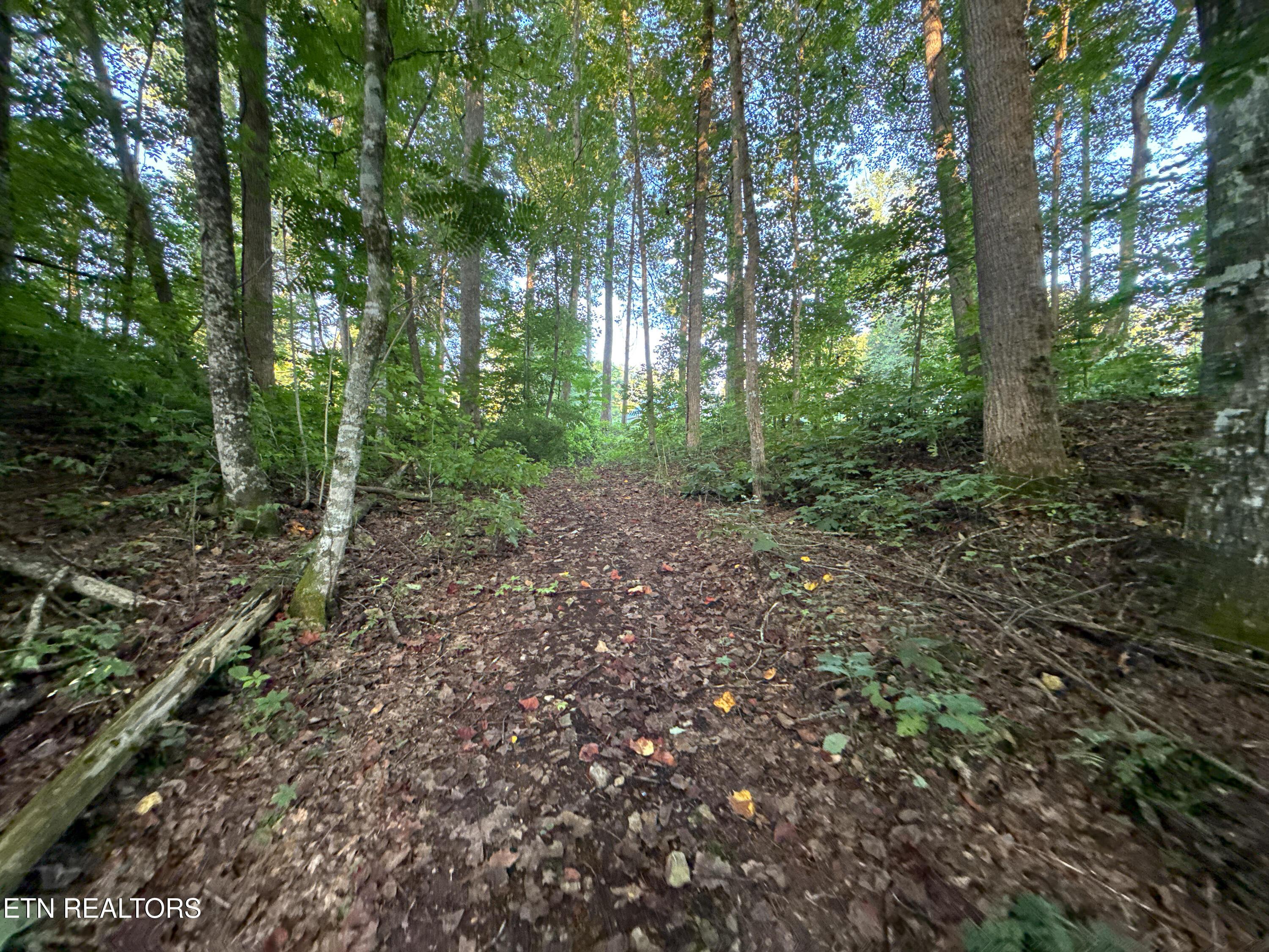 Norris Lake Real Estate - Image# 25
