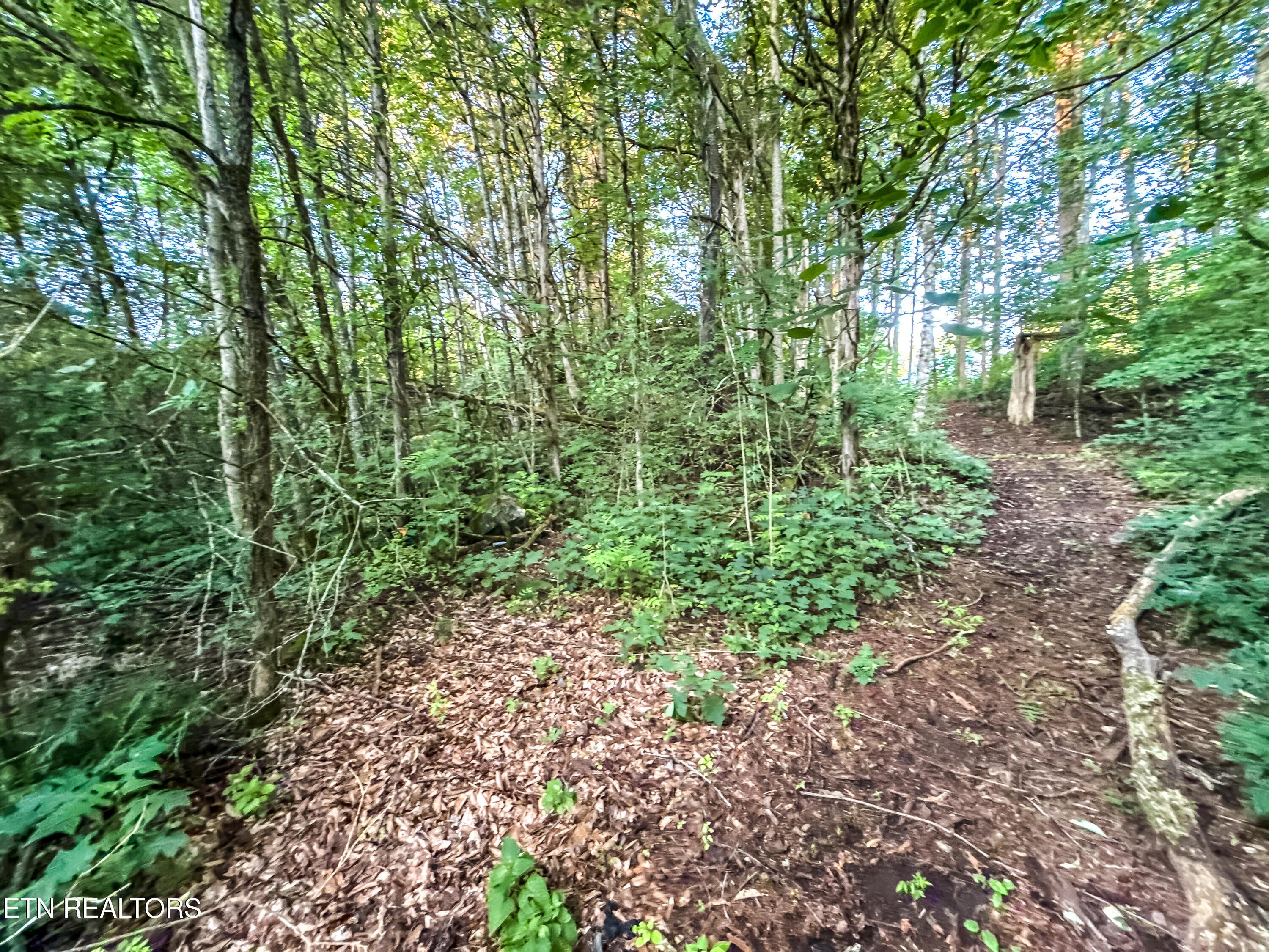 Norris Lake Real Estate - Image# 29